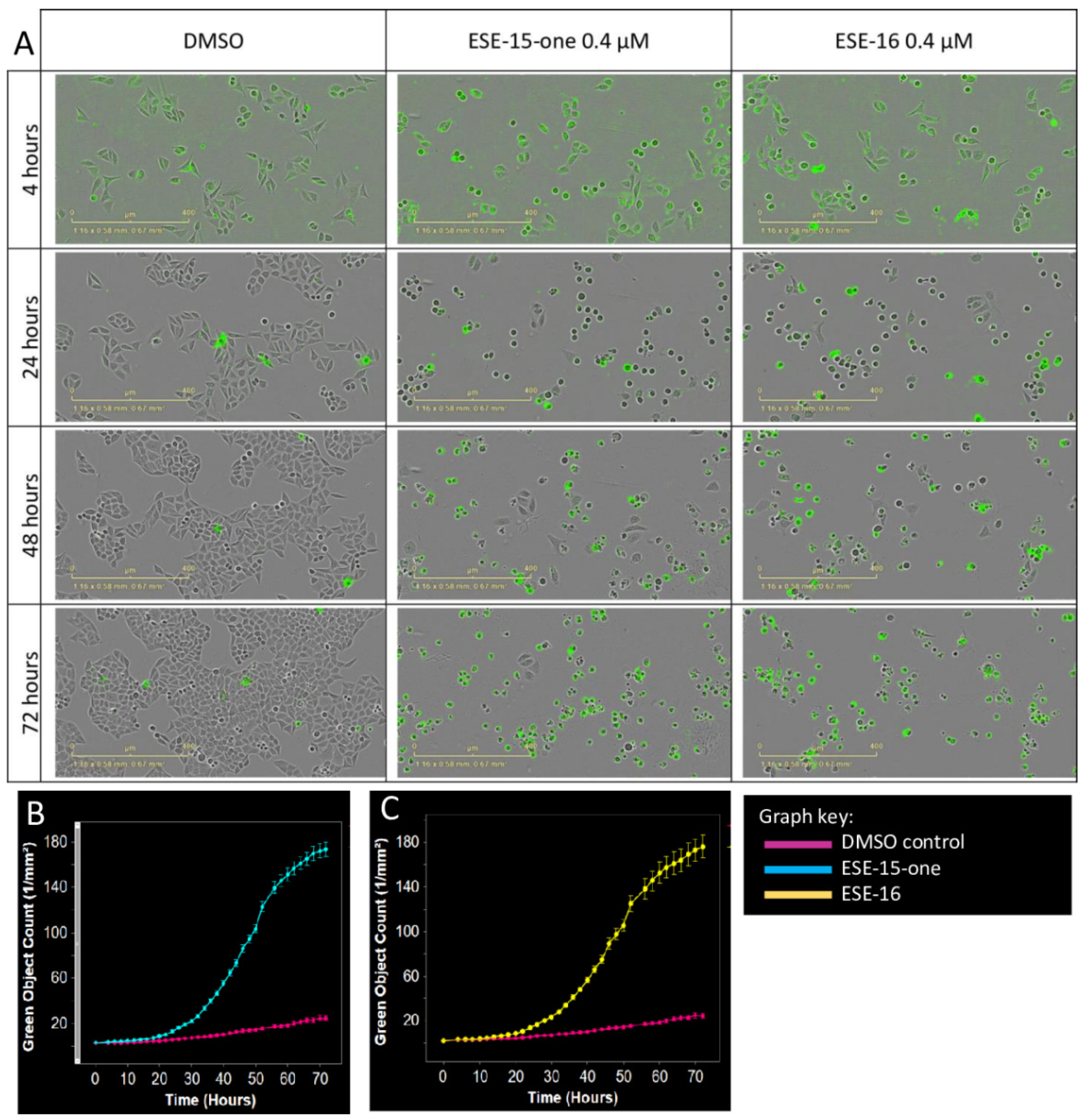 Molecules 26 00706 g004 Molecules 26 00706 g004