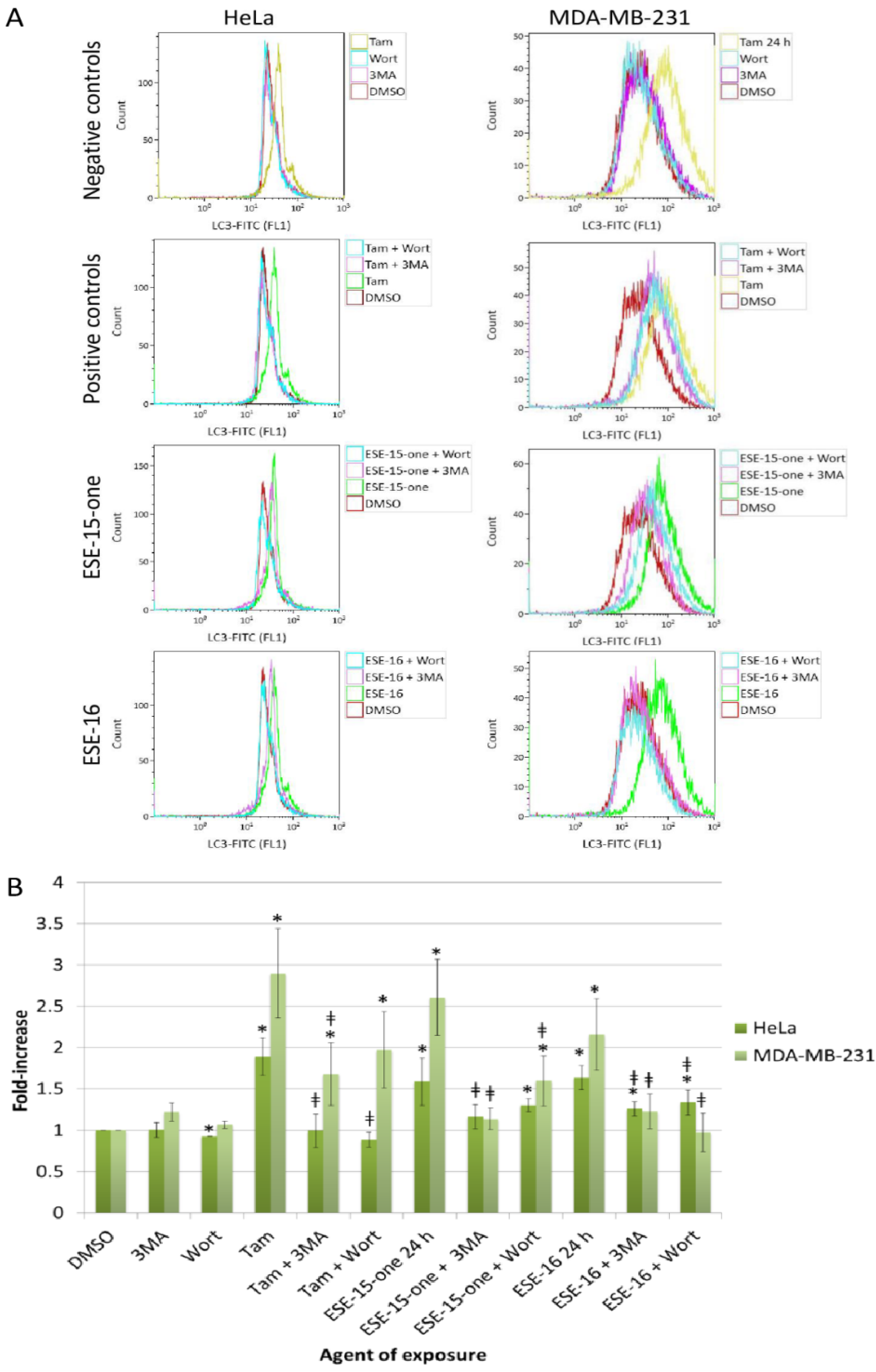 Molecules 26 00706 g008 Molecules 26 00706 g008