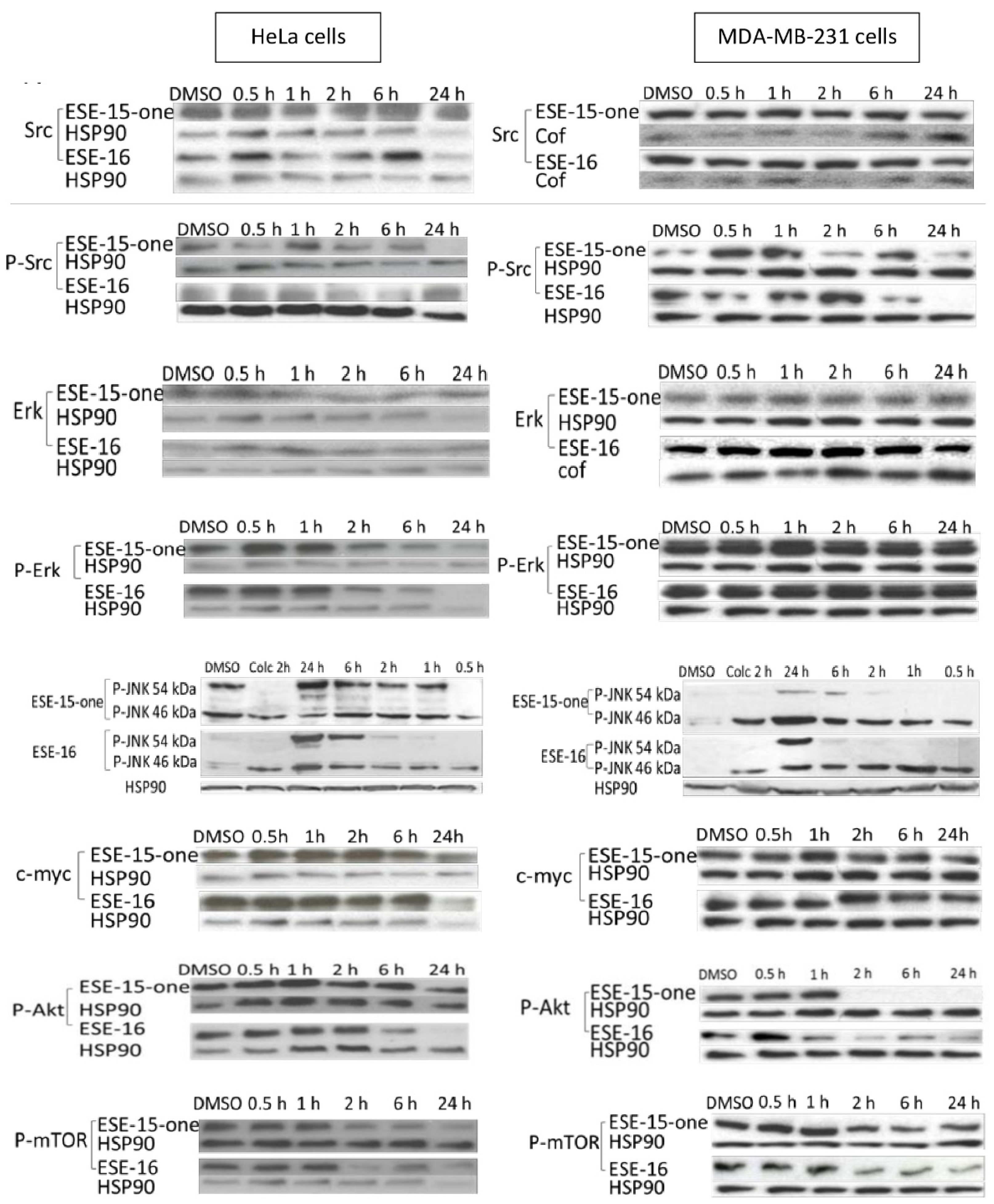Molecules 26 00706 g010 Molecules 26 00706 g010