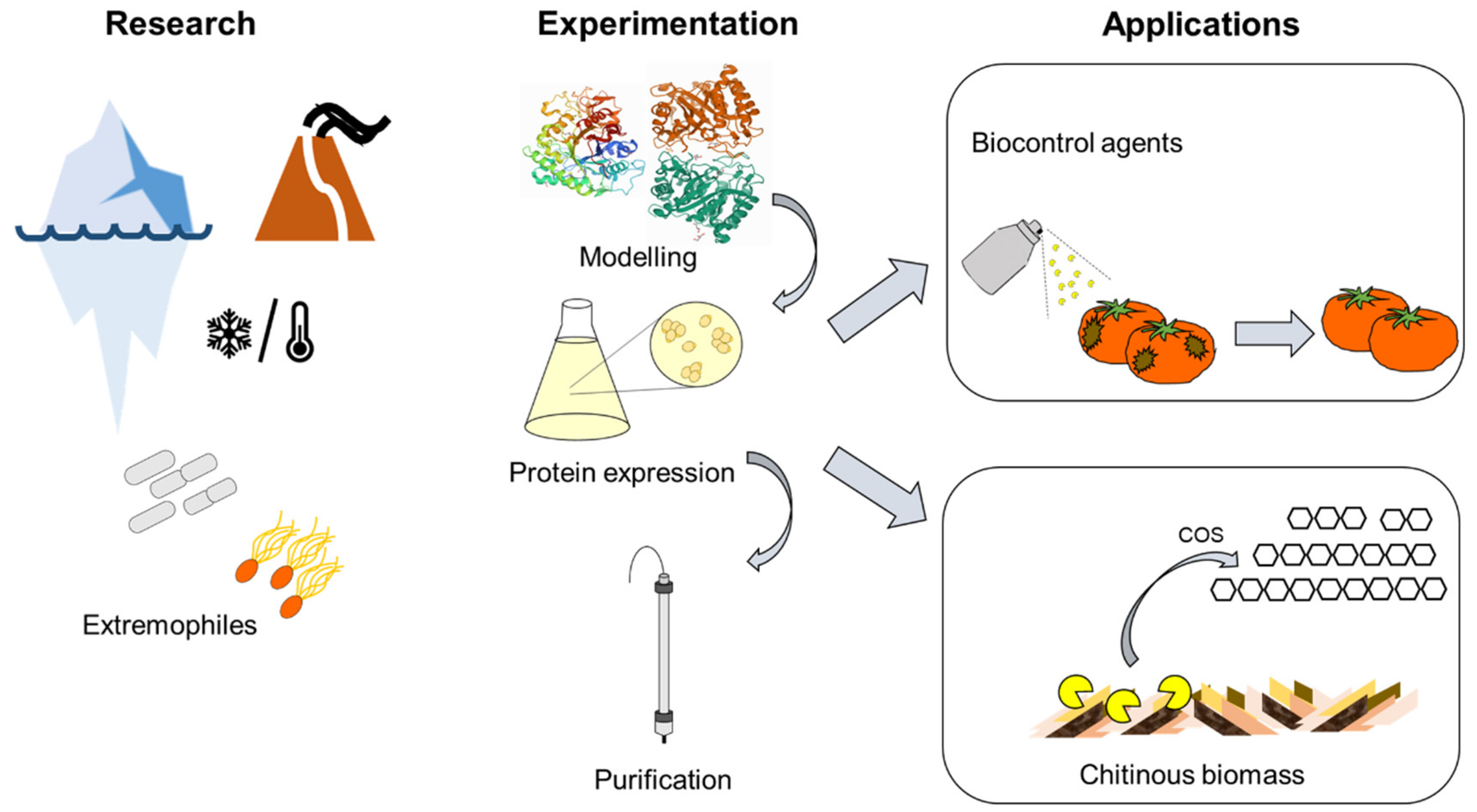 Molecules 26 00707 g008 Molecules 26 00707 g008