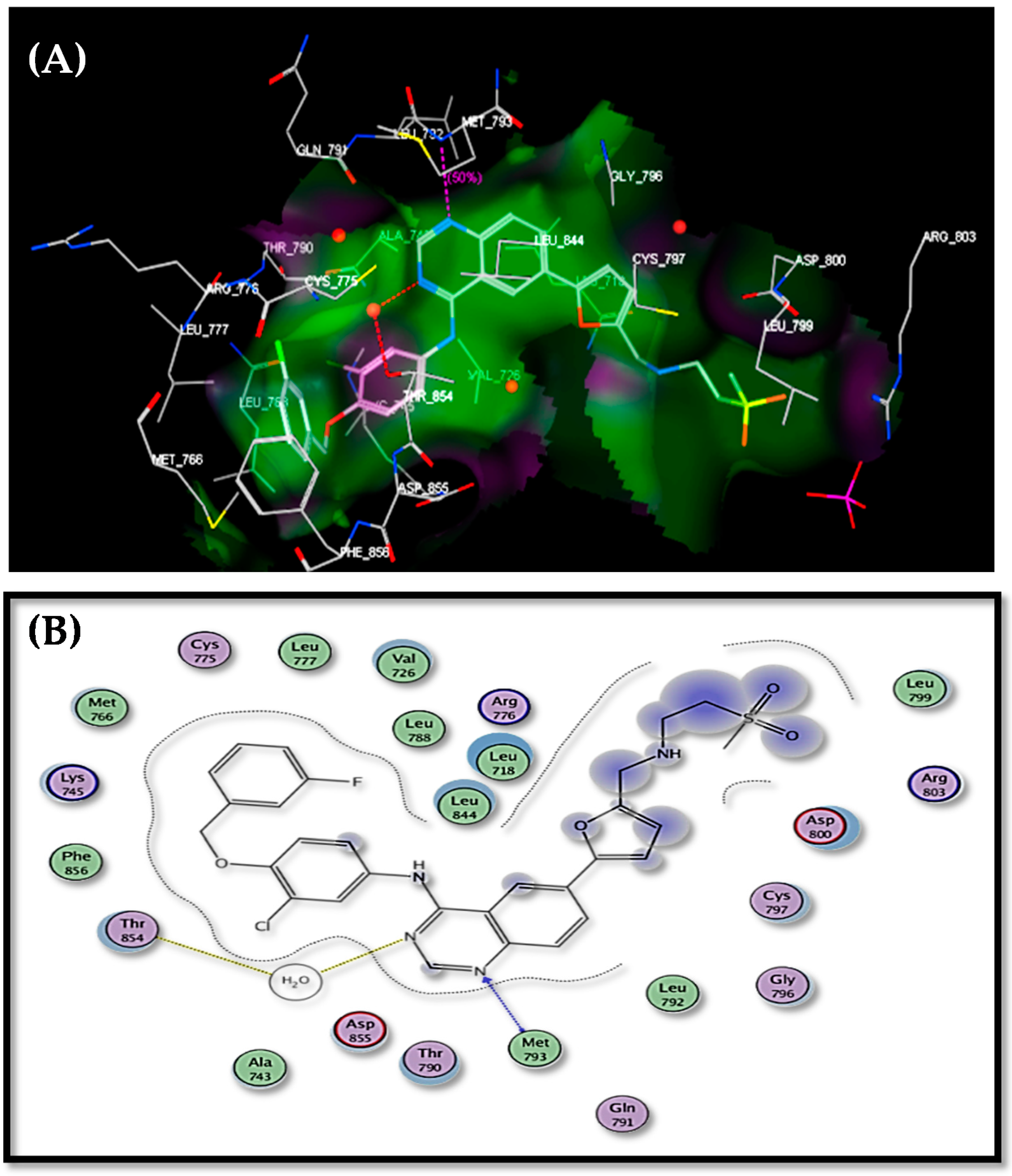 Molecules 26 00708 g005