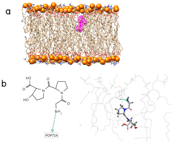 Molecules 26 00710 g002 Molecules 26 00710 g002