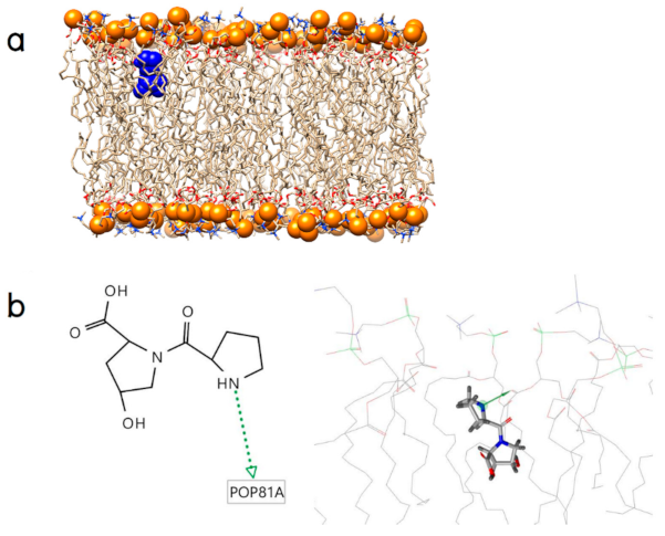 Molecules 26 00710 g003 Molecules 26 00710 g003