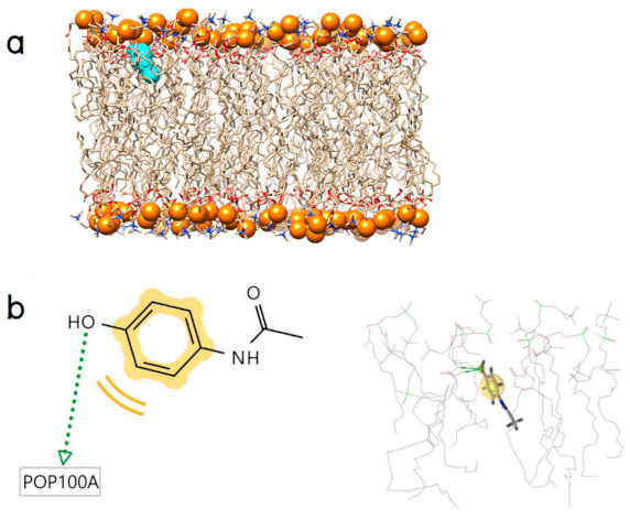 Molecules 26 00710 g005 Molecules 26 00710 g005