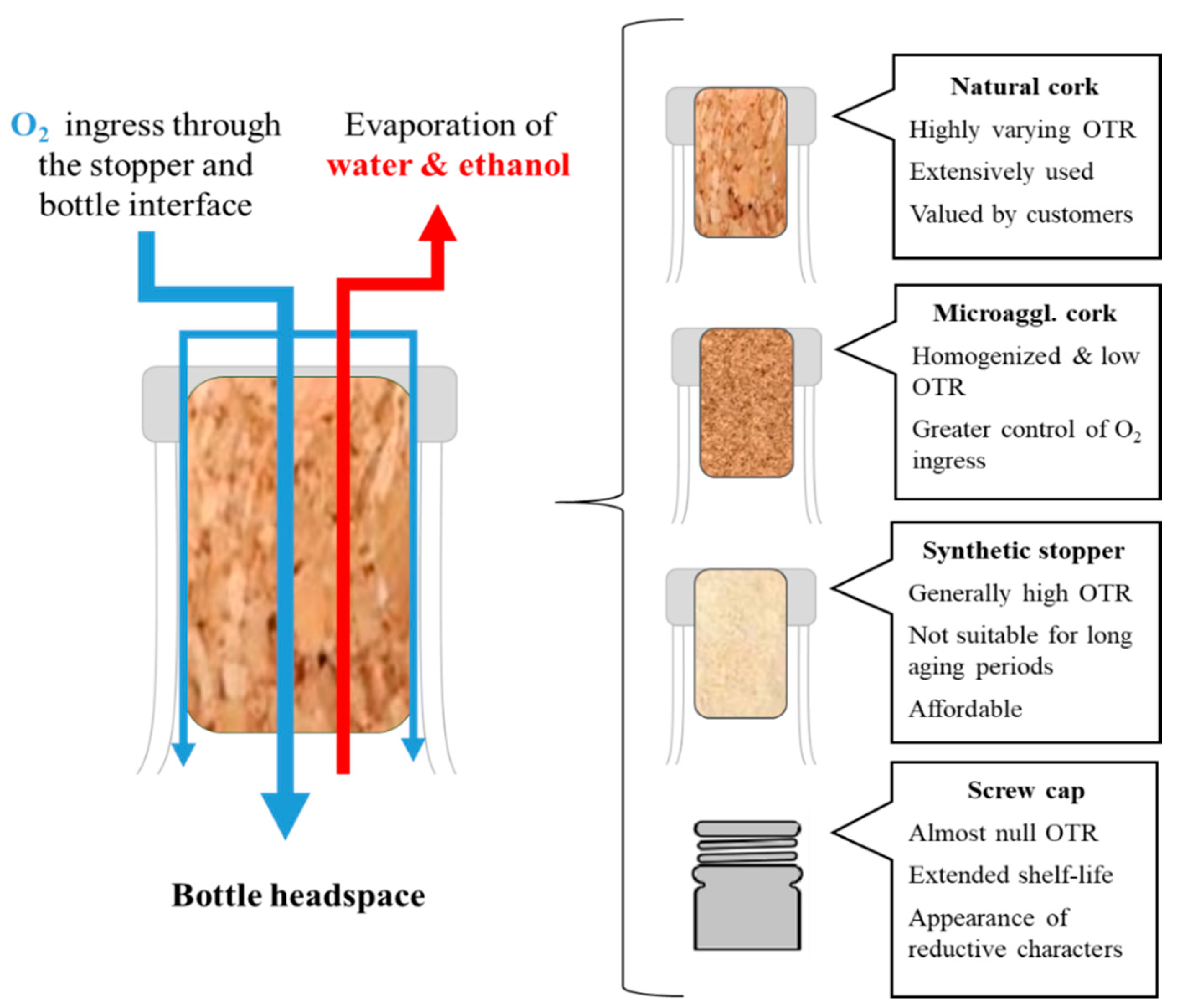 Molecules Free Full Text Bottle Aging And Storage Of Wines A Review Html