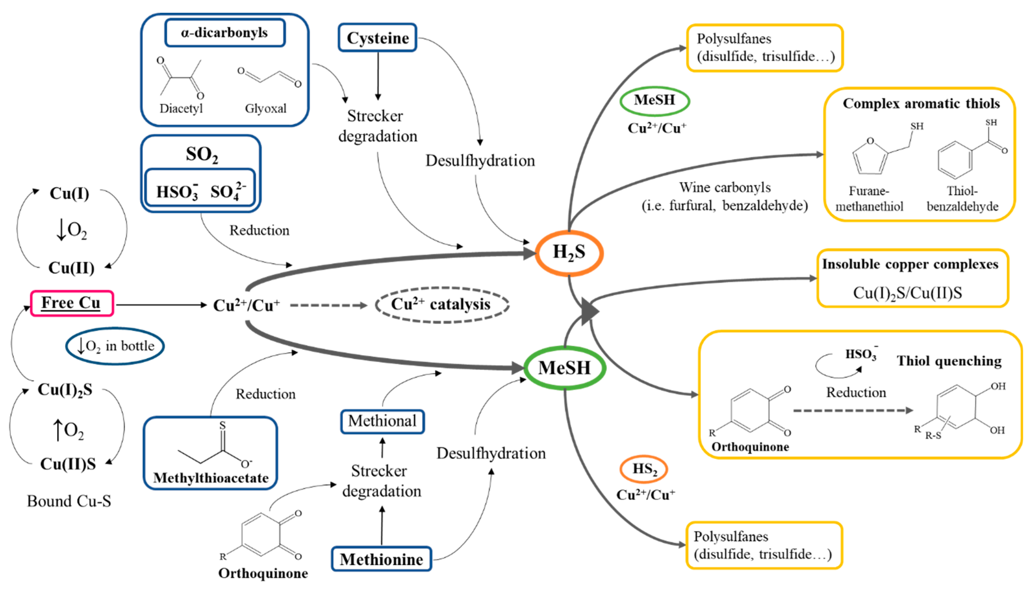 Molecules Free Full Text Bottle Aging And Storage Of Wines A Review Html