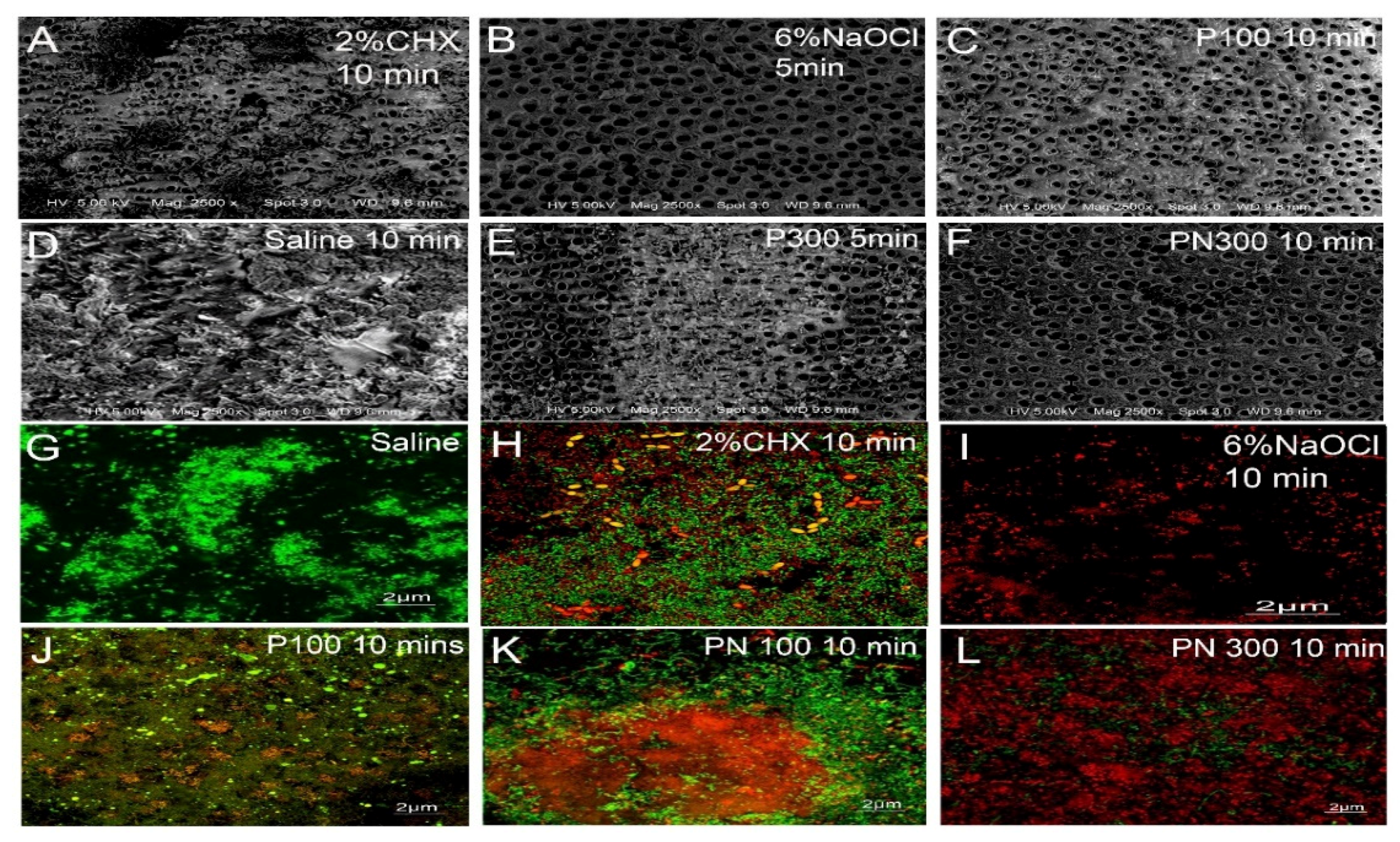 Molecules 26 00715 g003 Molecules 26 00715 g003