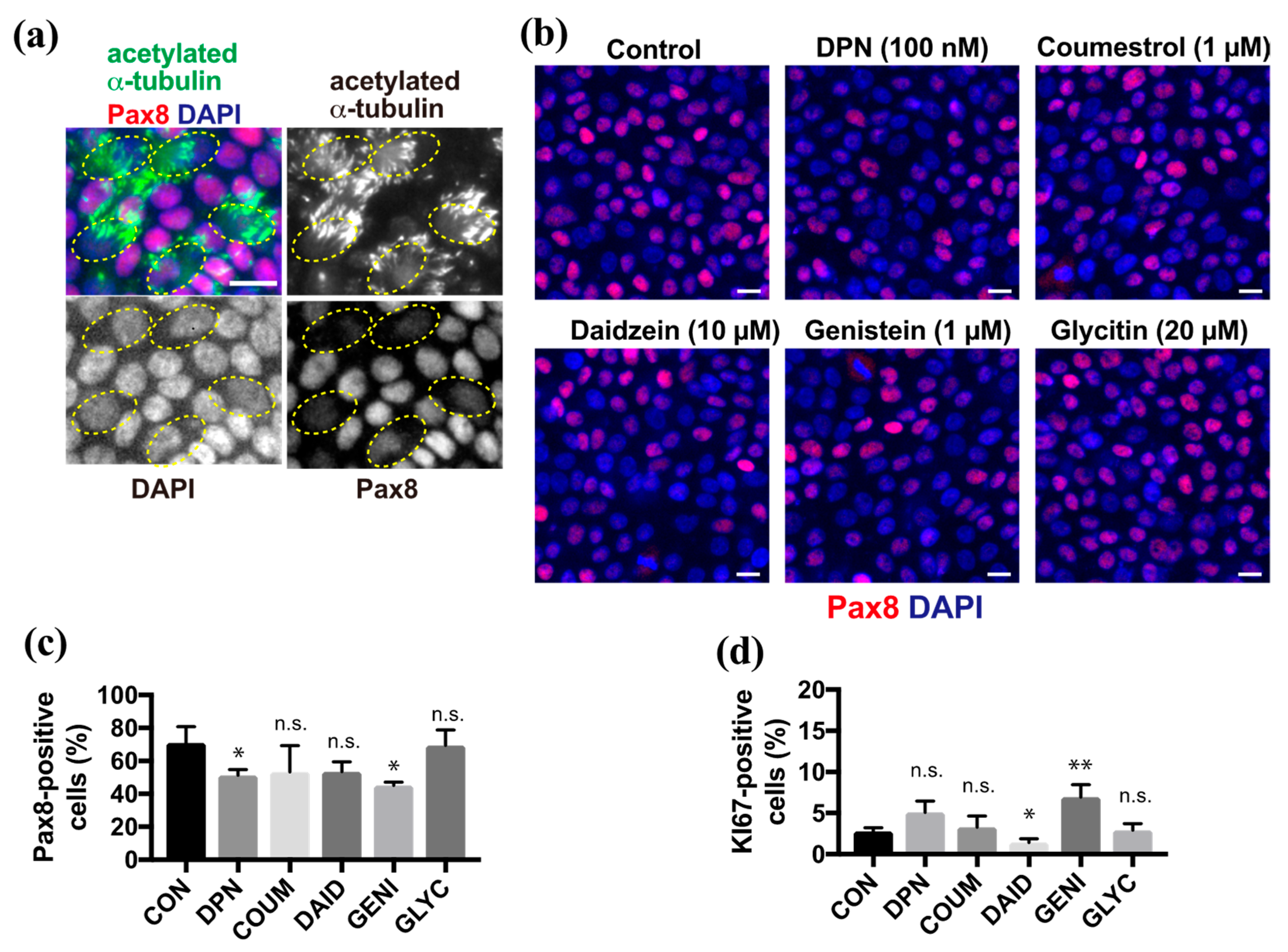 Molecules 26 00722 g002 Molecules 26 00722 g002