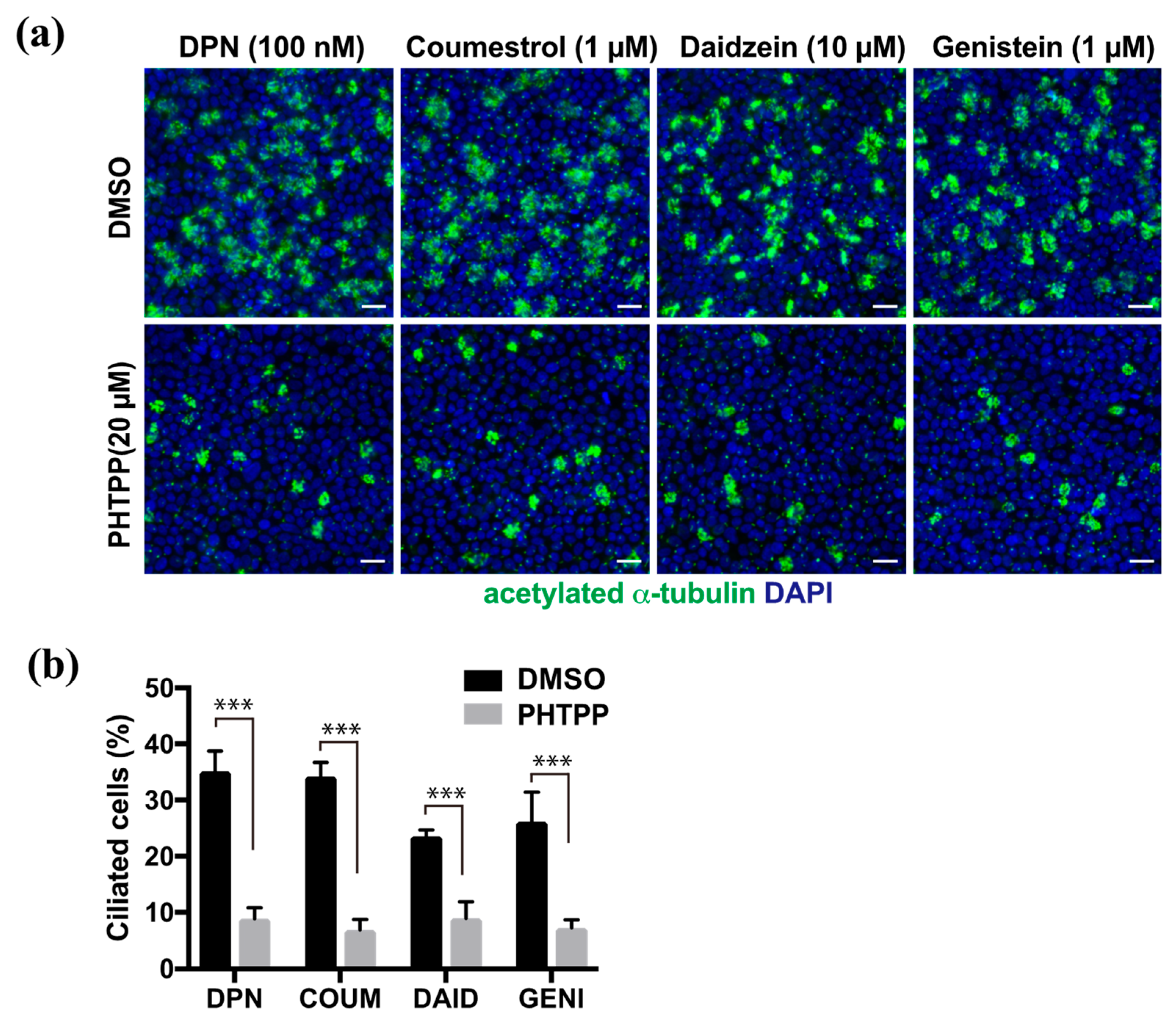 Molecules 26 00722 g003 Molecules 26 00722 g003