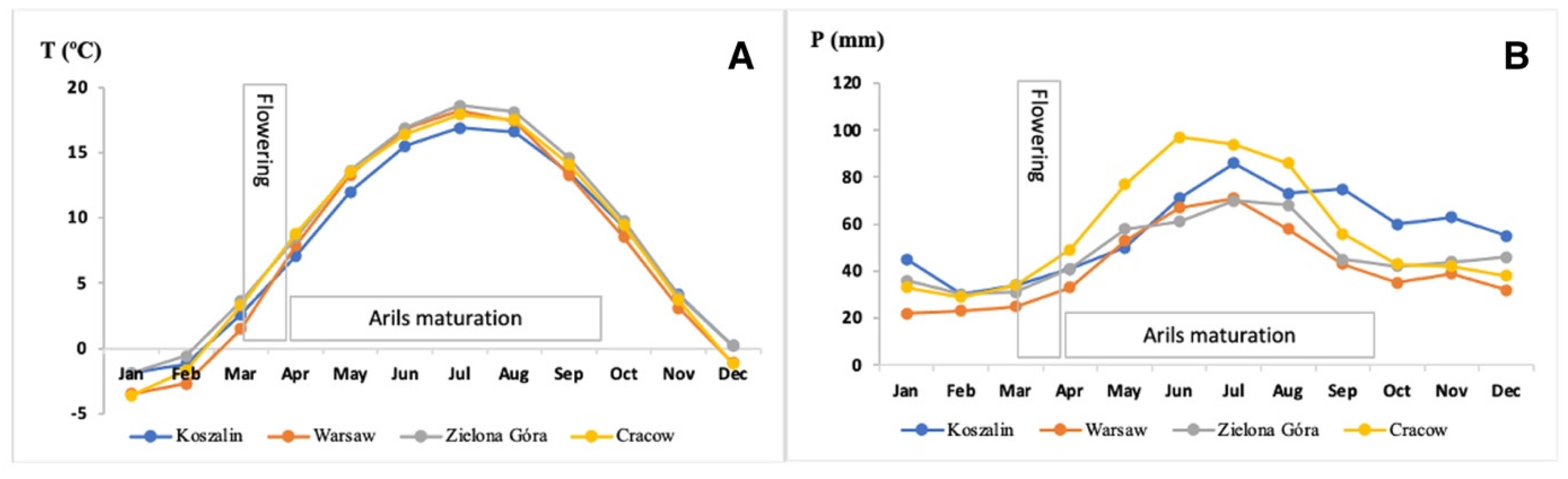 Molecules 26 00723 g001
