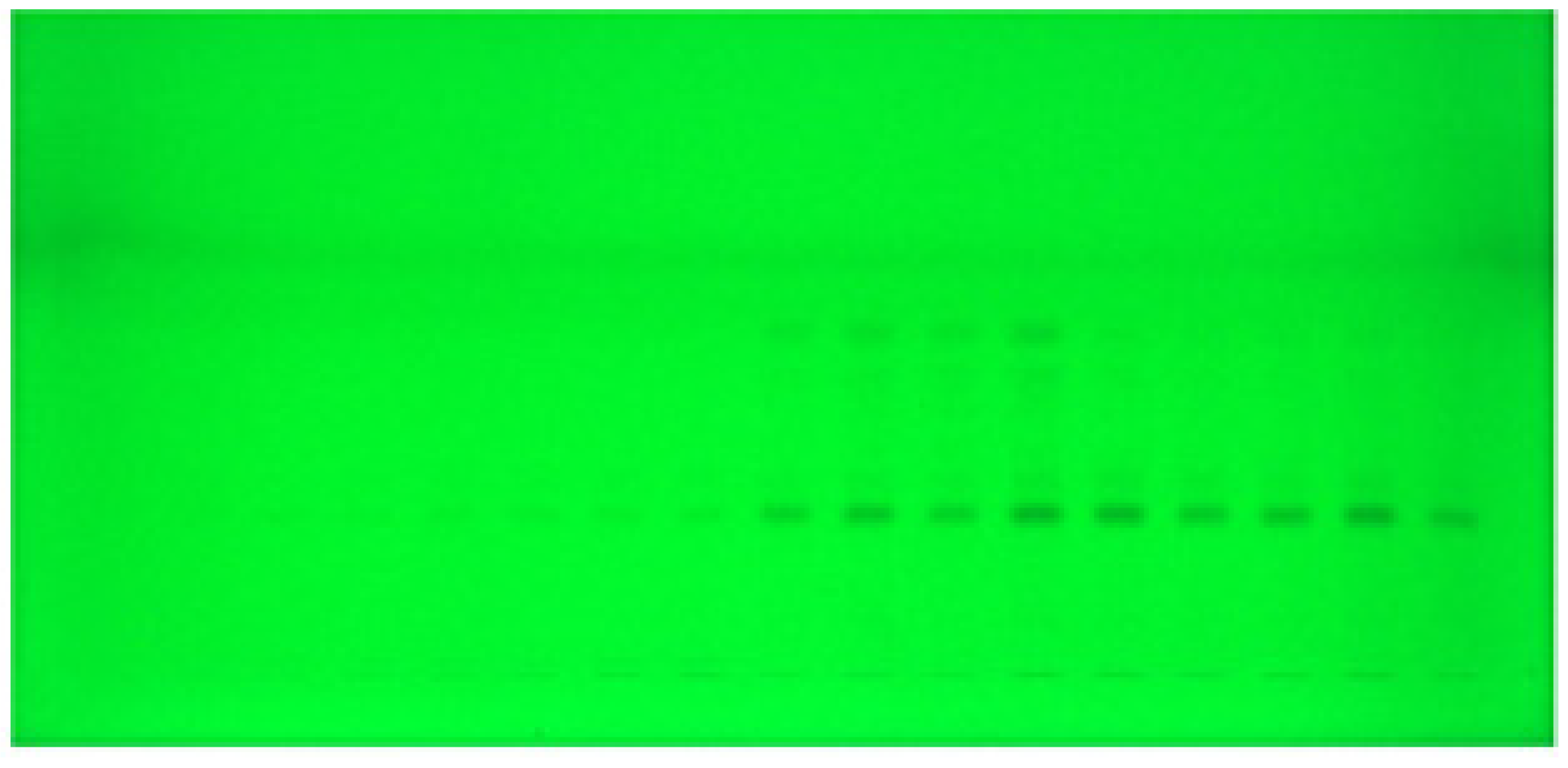 Molecules 26 00732 g001