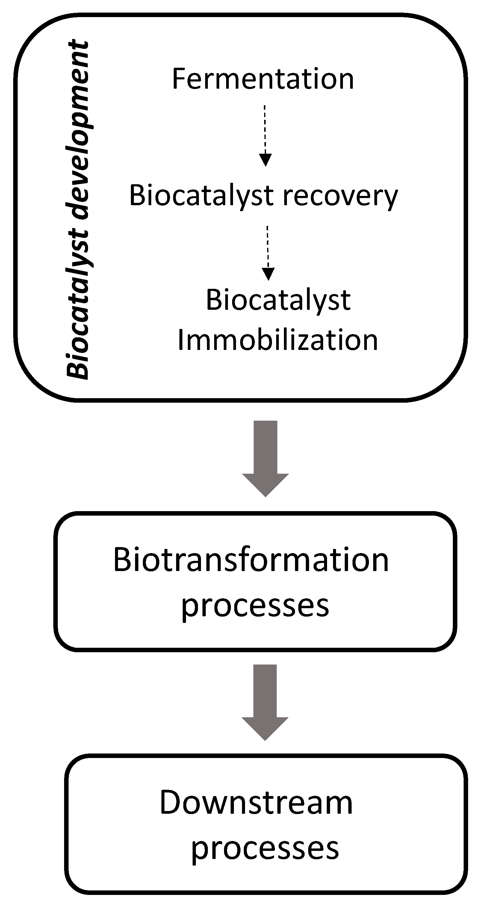 Molecules 26 00736 g001 Molecules 26 00736 g001