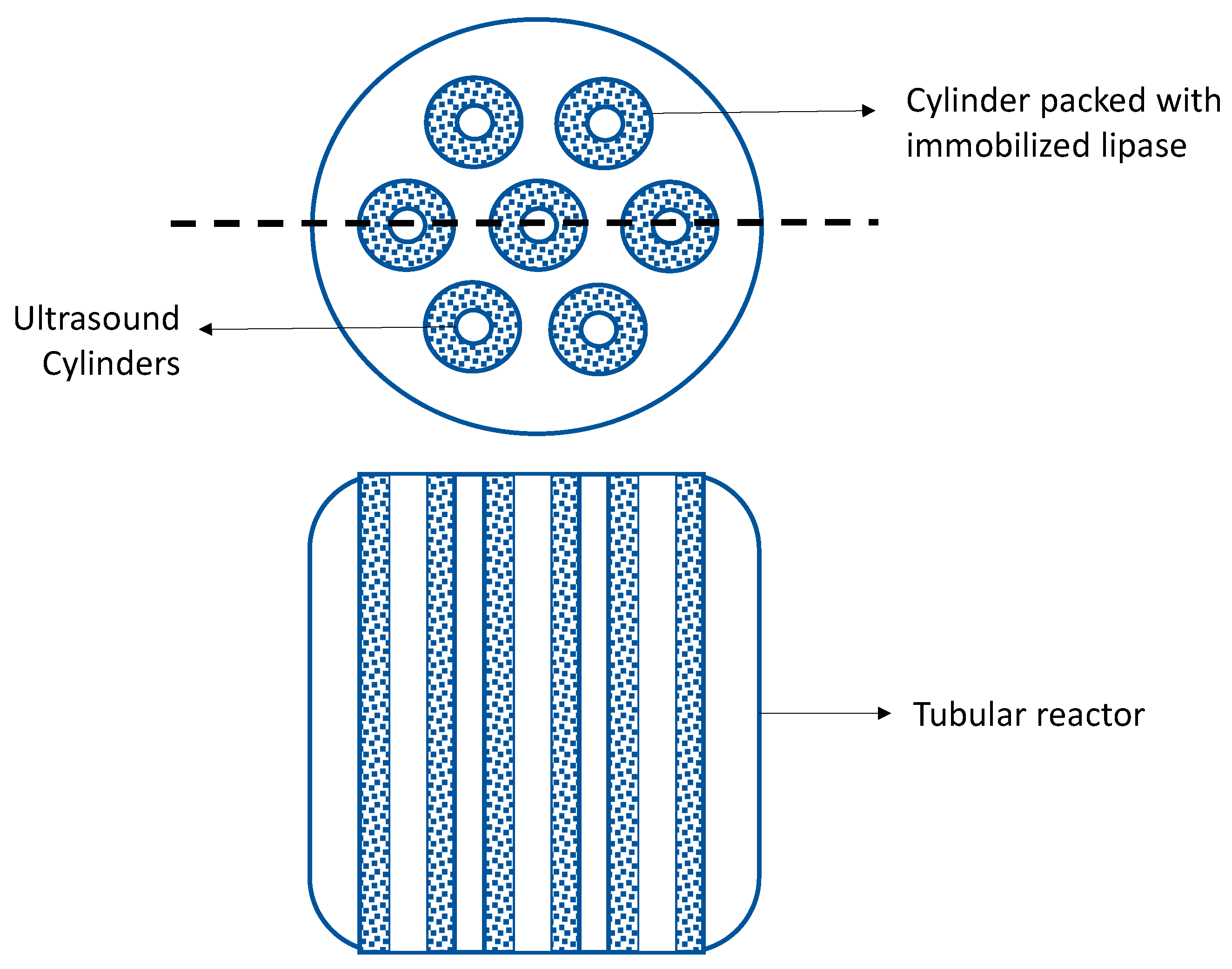 Molecules 26 00736 g004 Molecules 26 00736 g004