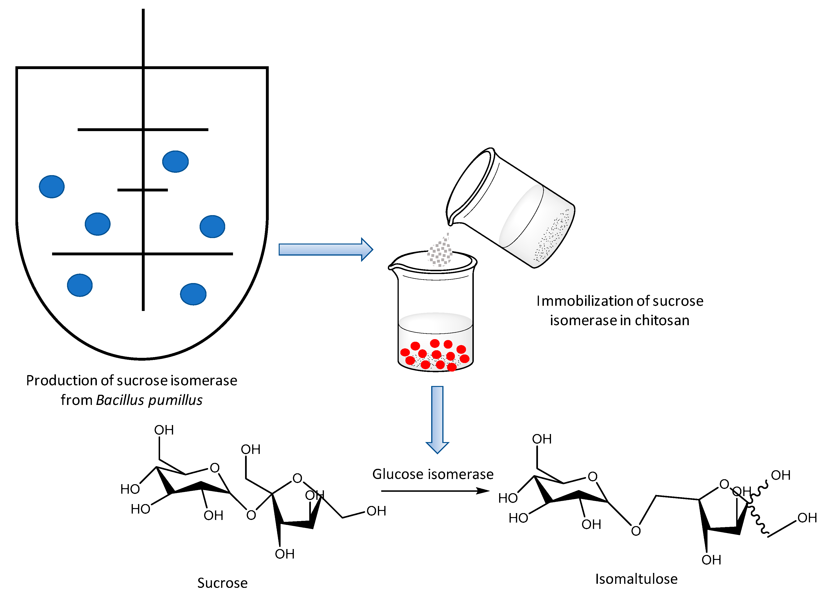 Molecules 26 00736 g007 Molecules 26 00736 g007