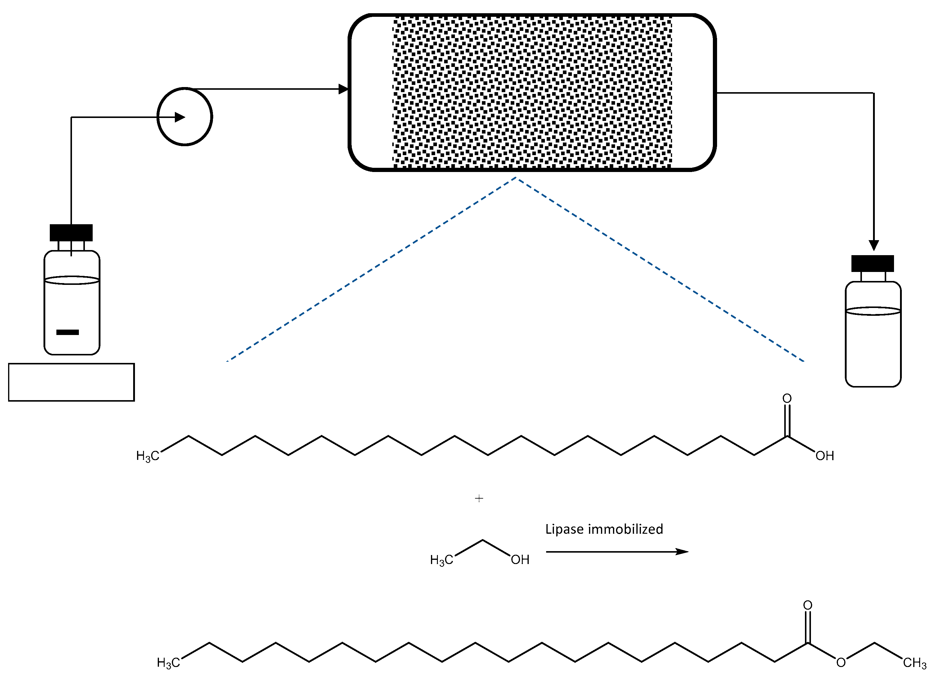 Molecules 26 00736 g008 Molecules 26 00736 g008