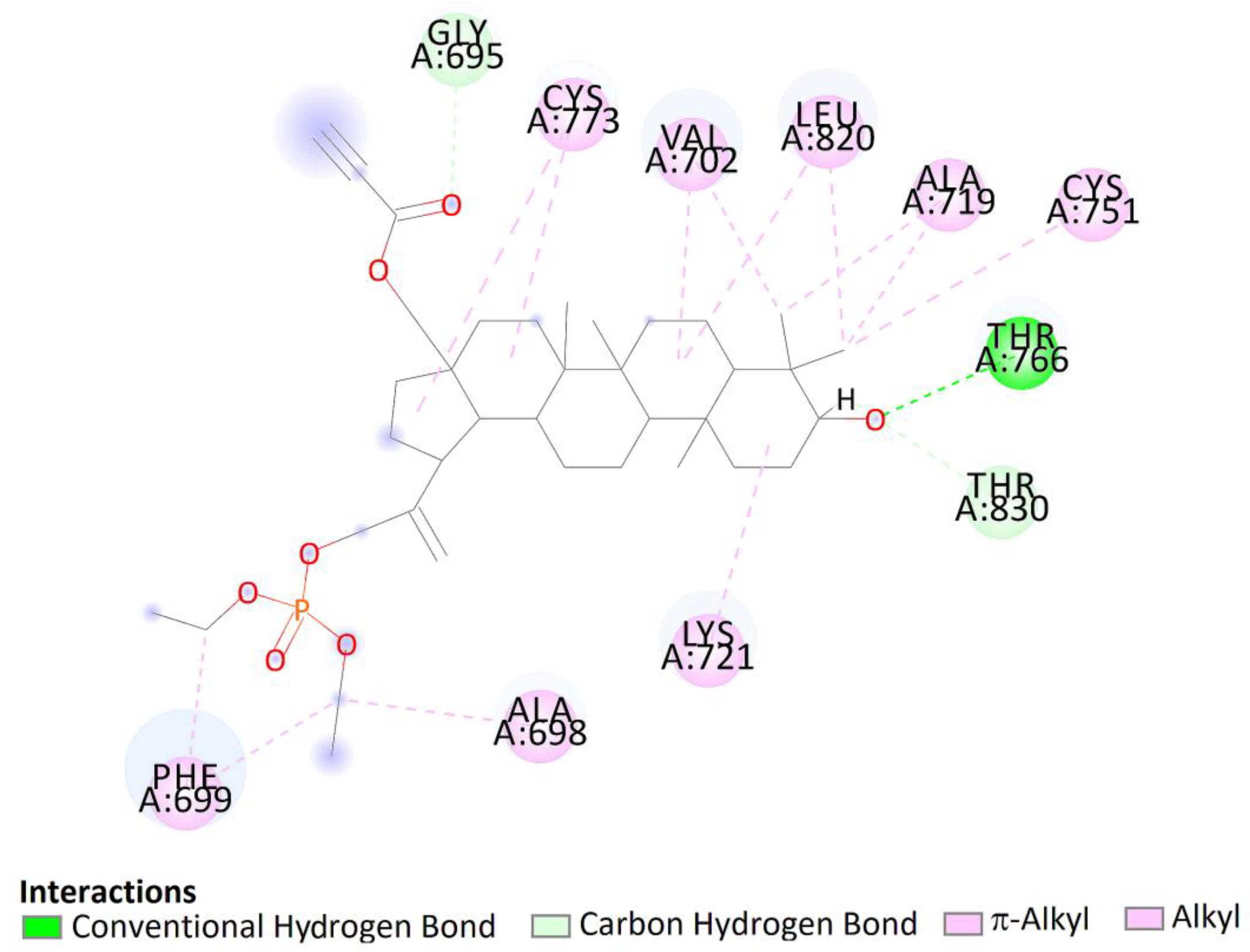 Molecules 26 00737 g013 Molecules 26 00737 g013