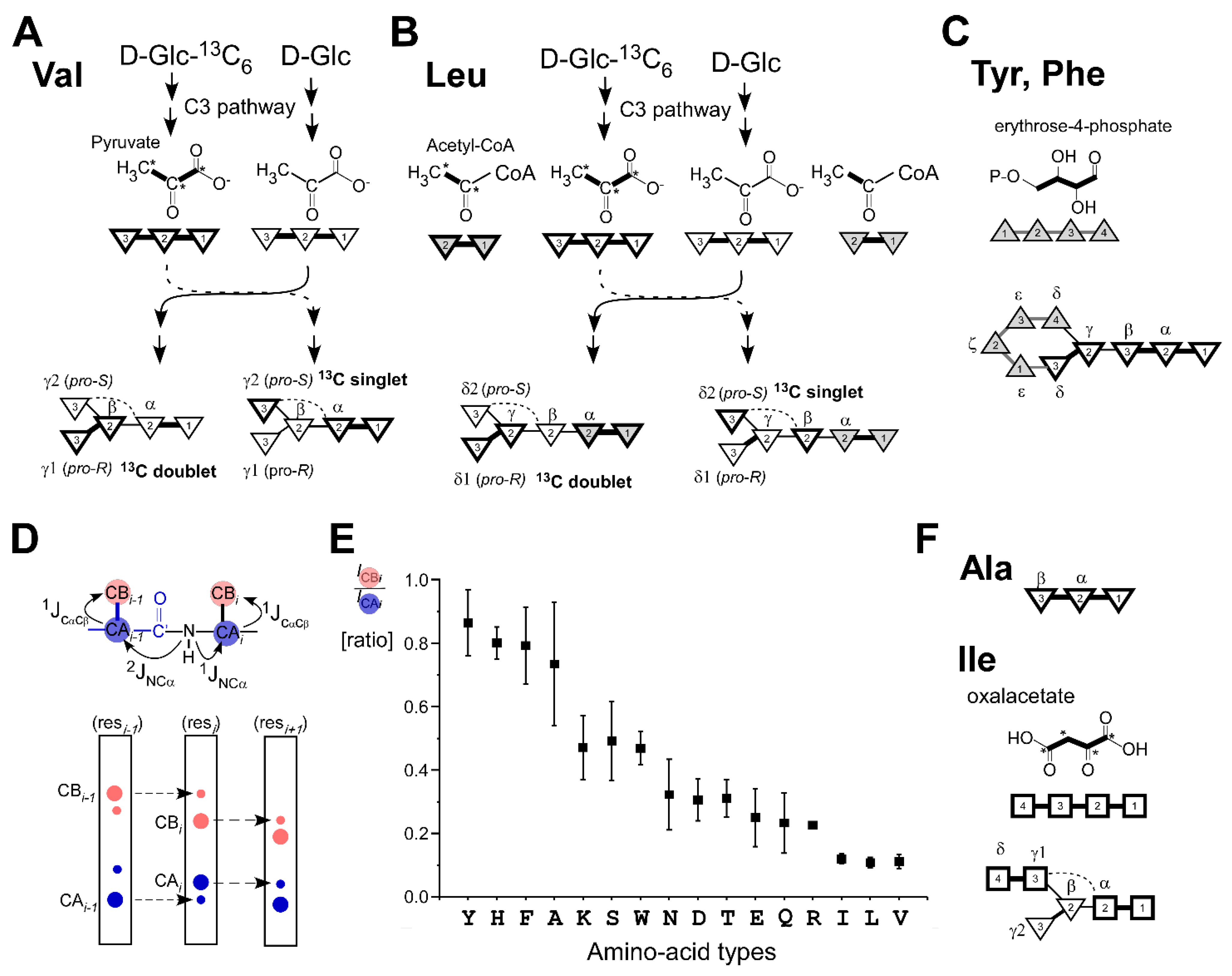 Molecules 26 00747 g002
