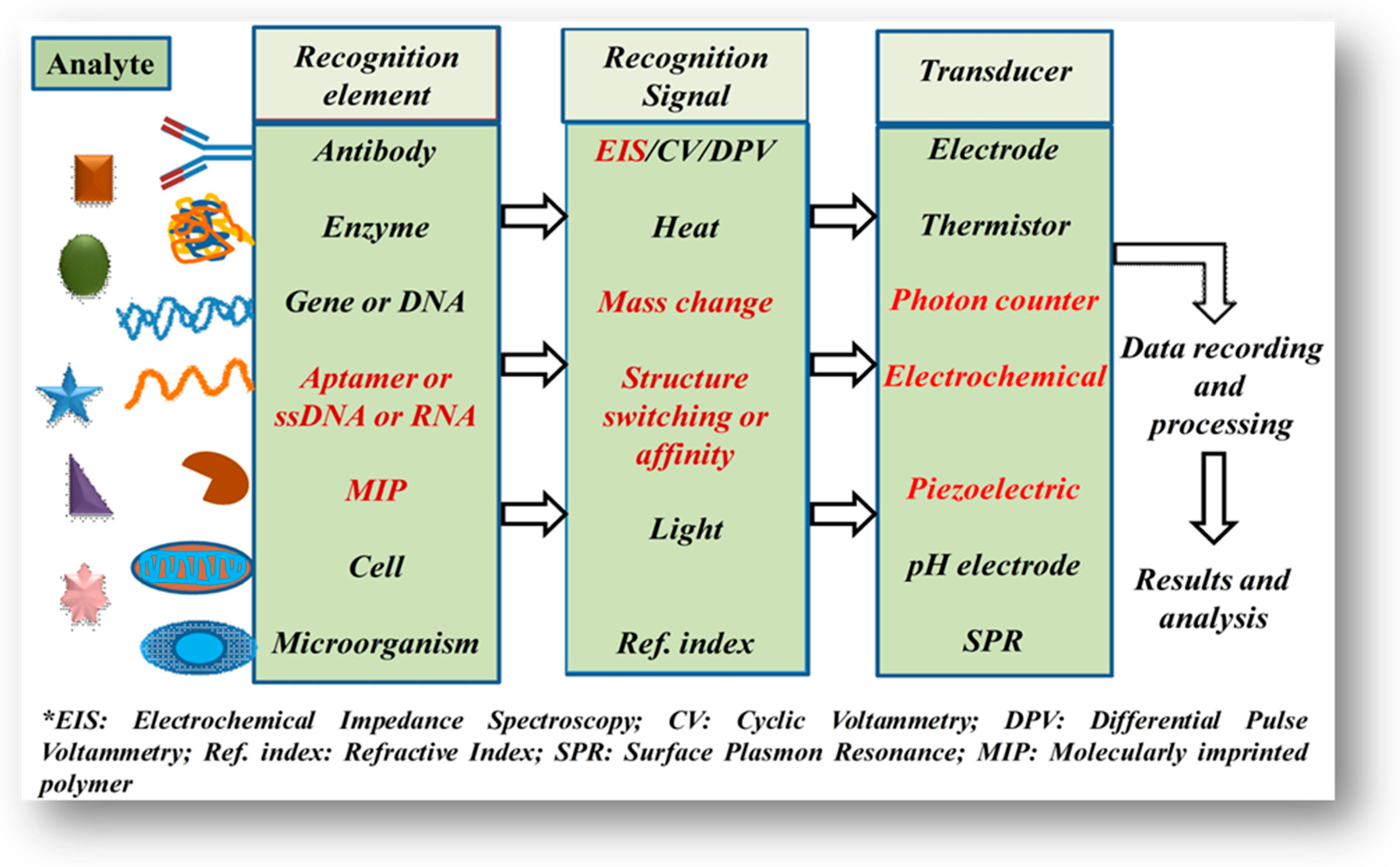 Molecules 26 00748 g001