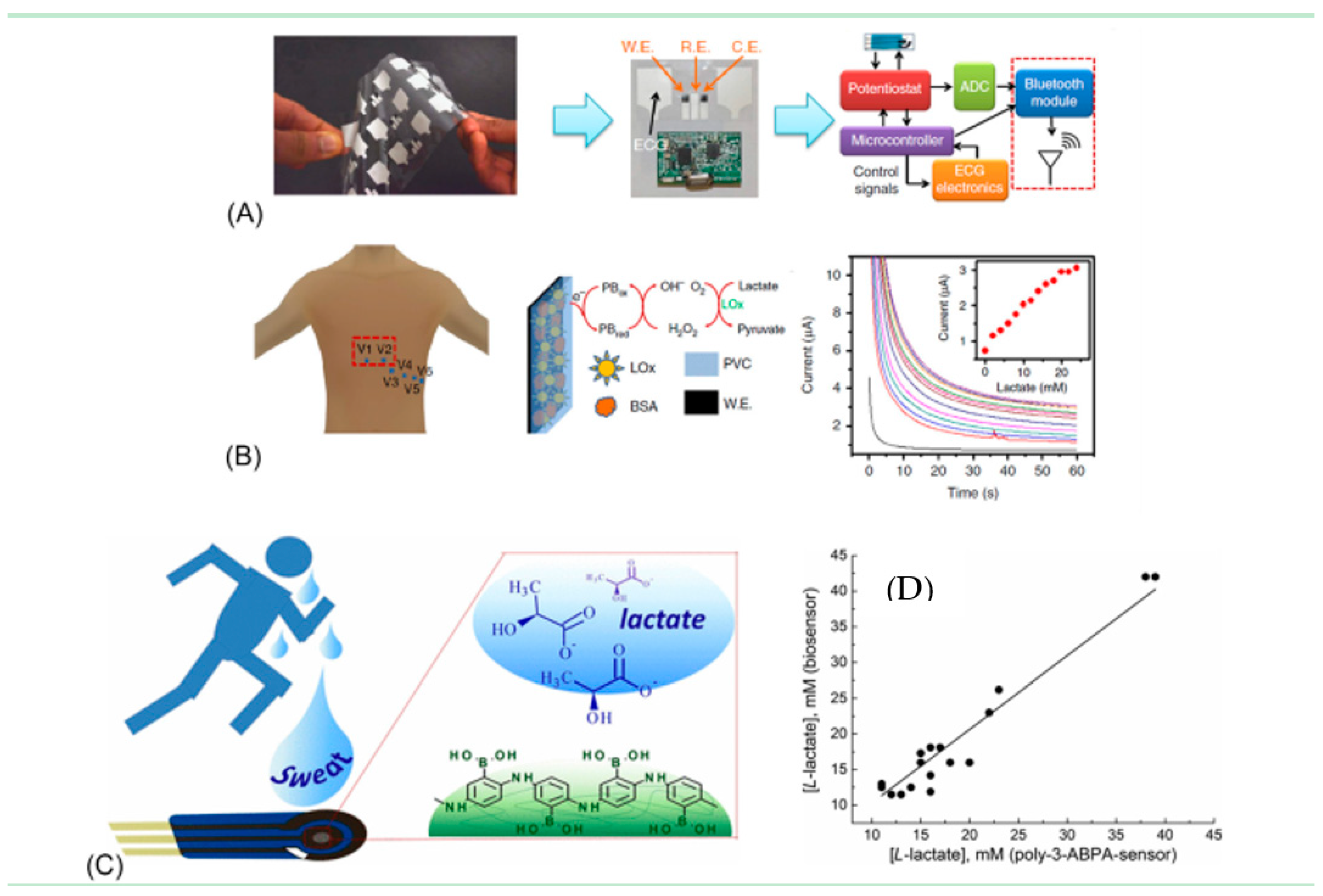 Molecules 26 00748 g007