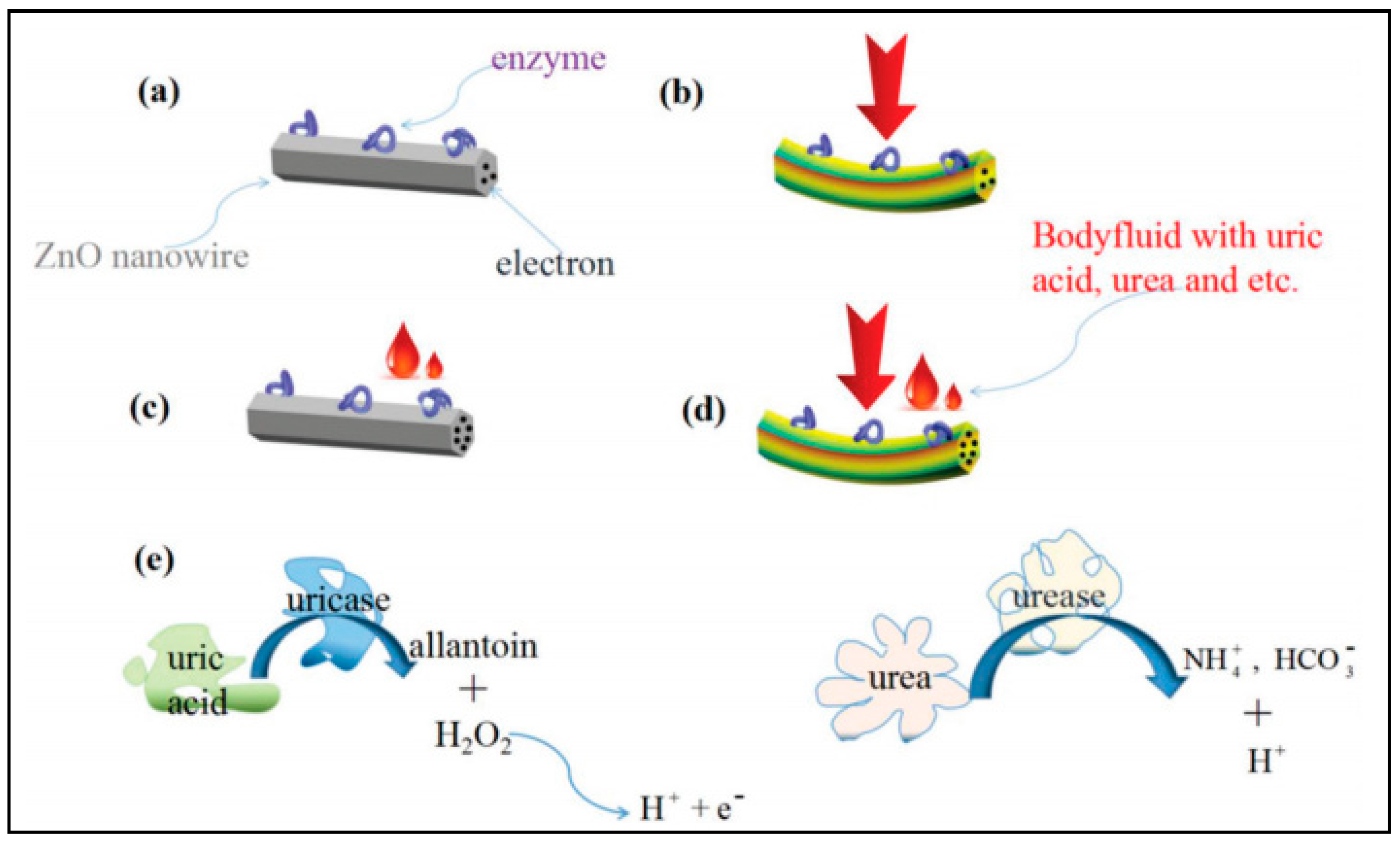 Molecules 26 00748 g008