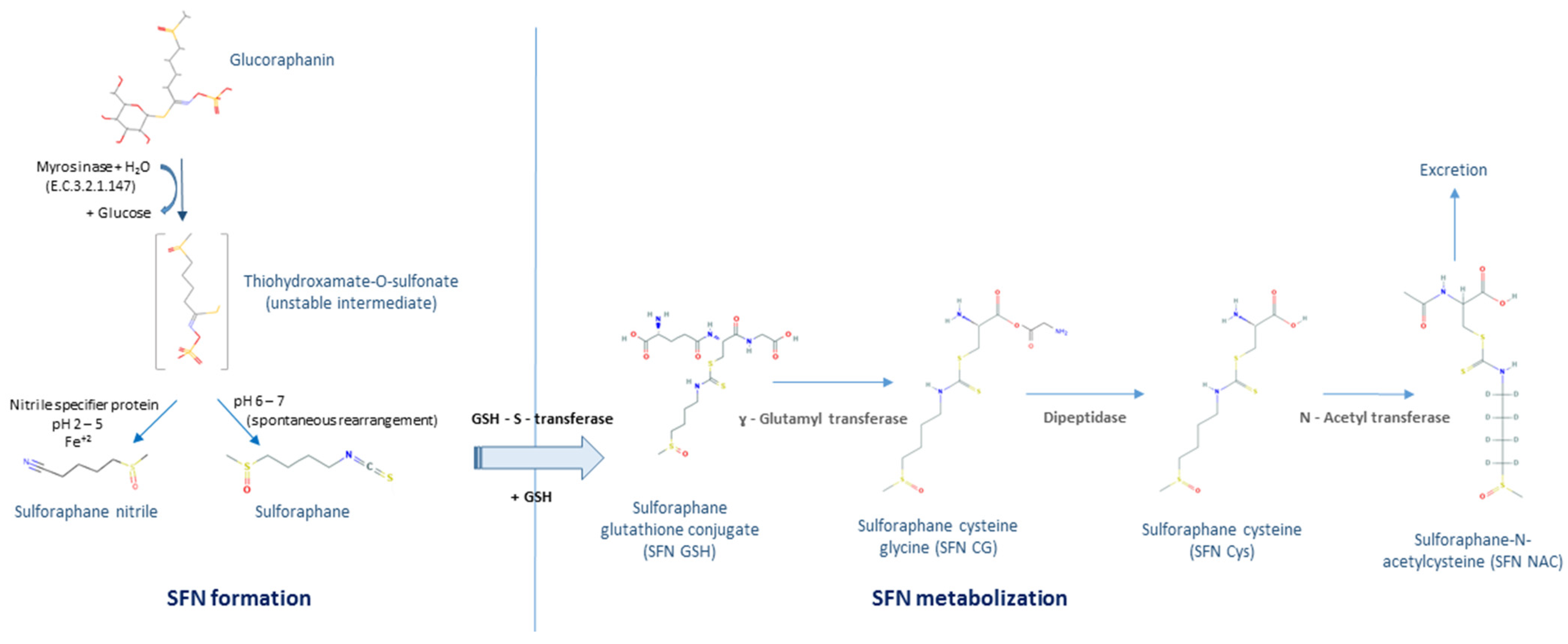 Molecules 26 00752 g002