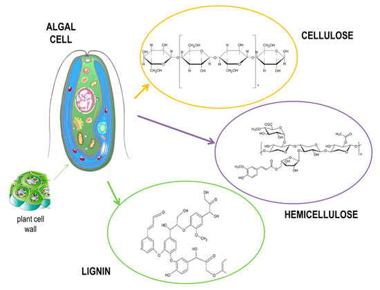 Molecules 26 00753 g003 550