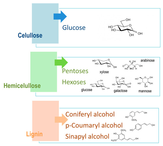 Molecules 26 00753 g004 550