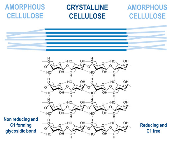 Molecules 26 00753 g005 550