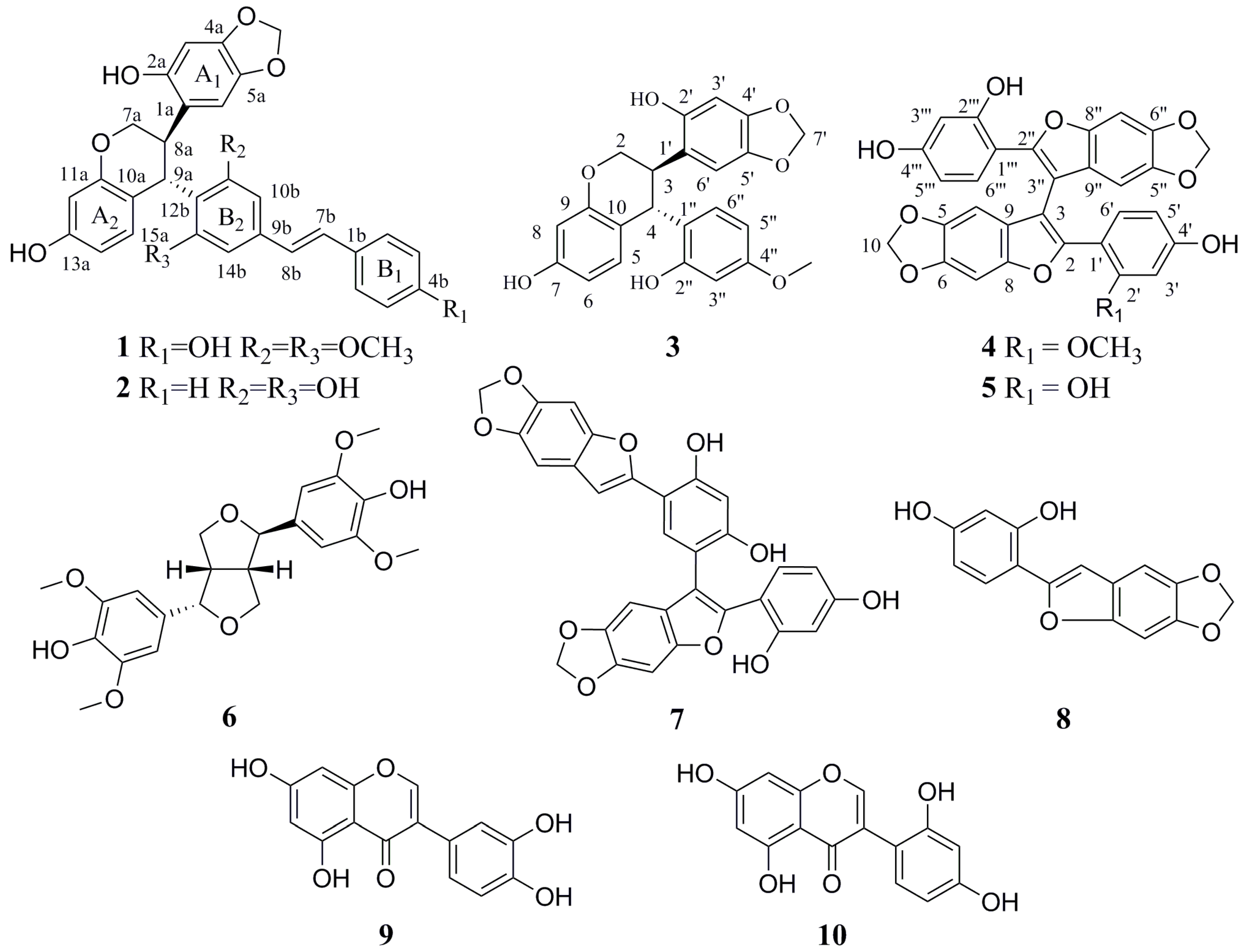 Molecules 26 00756 g001