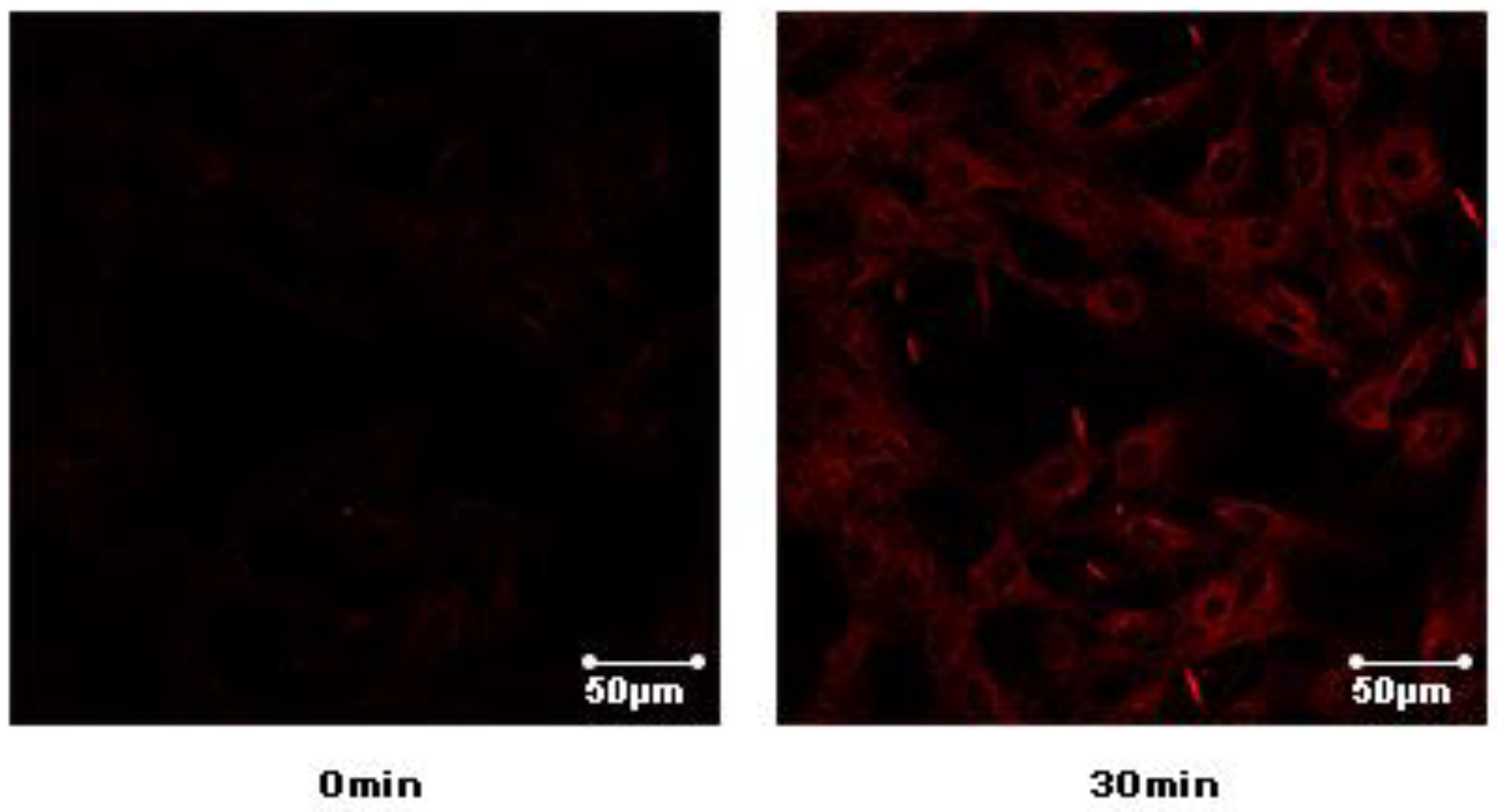 Molecules 26 00756 g007