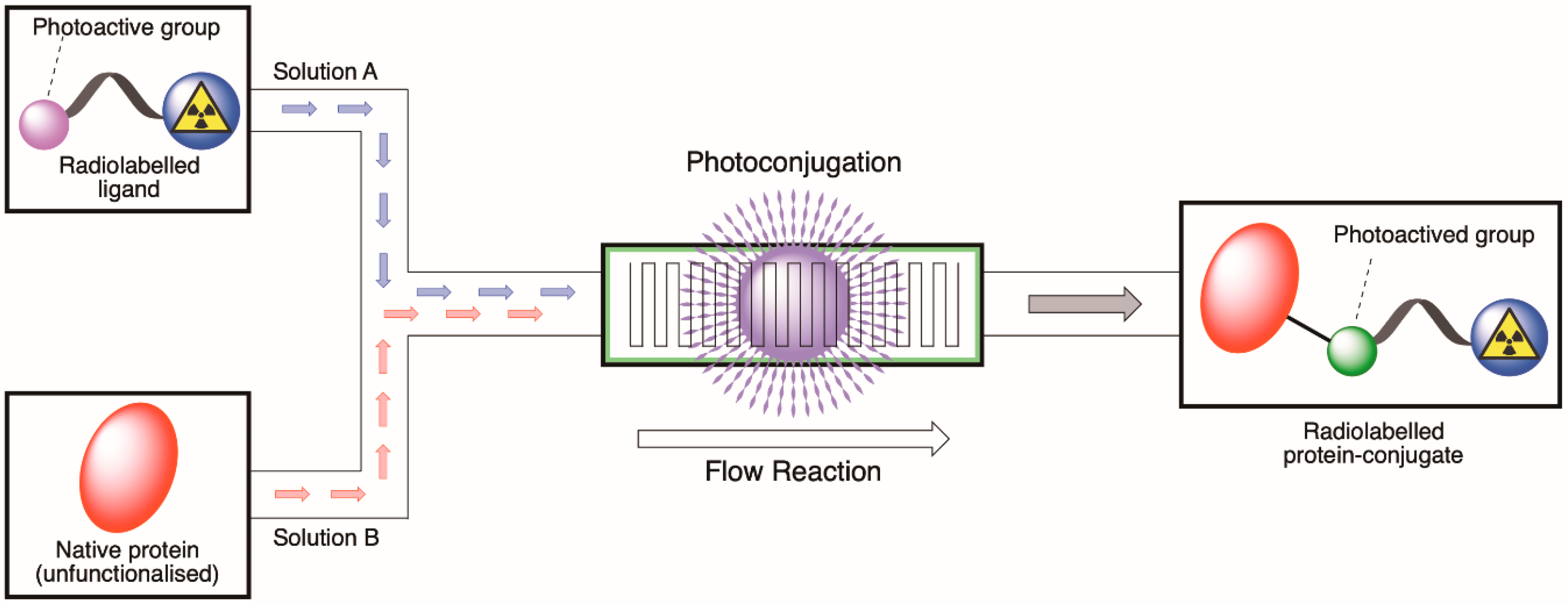 Molecules 26 00764 g001 Molecules 26 00764 g001