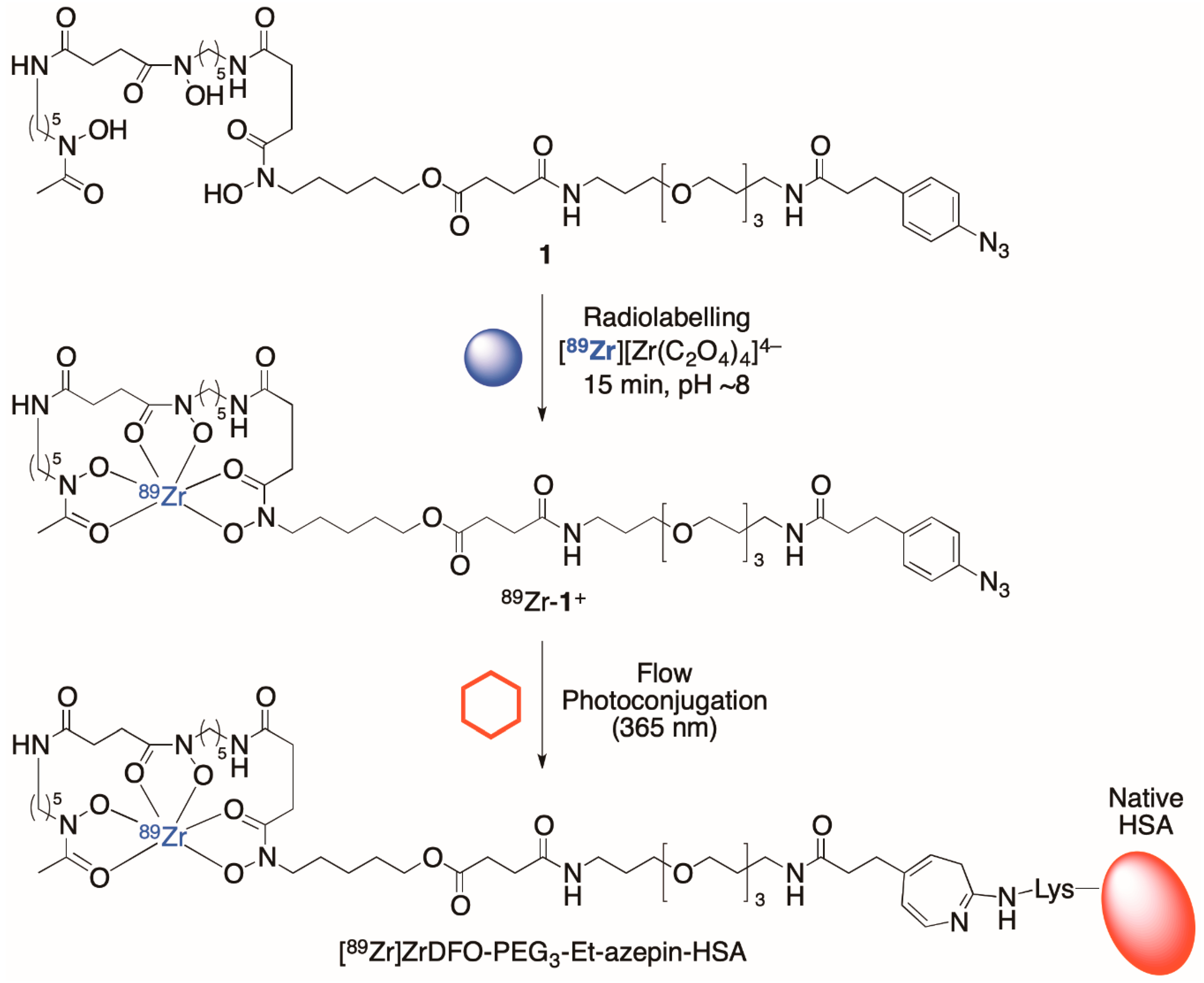 Molecules 26 00764 sch002 Molecules 26 00764 sch002