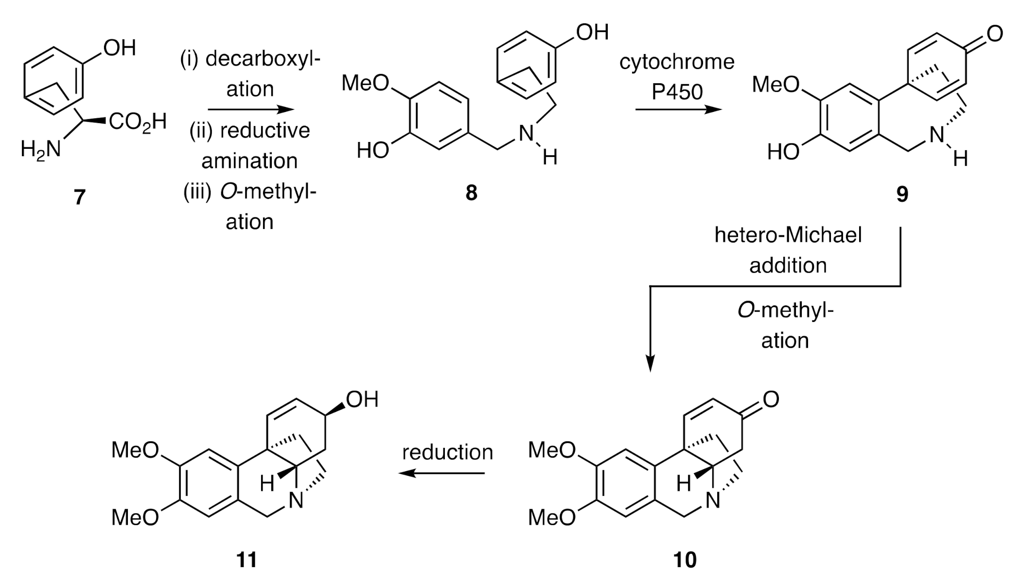 Molecules 26 00765 sch001