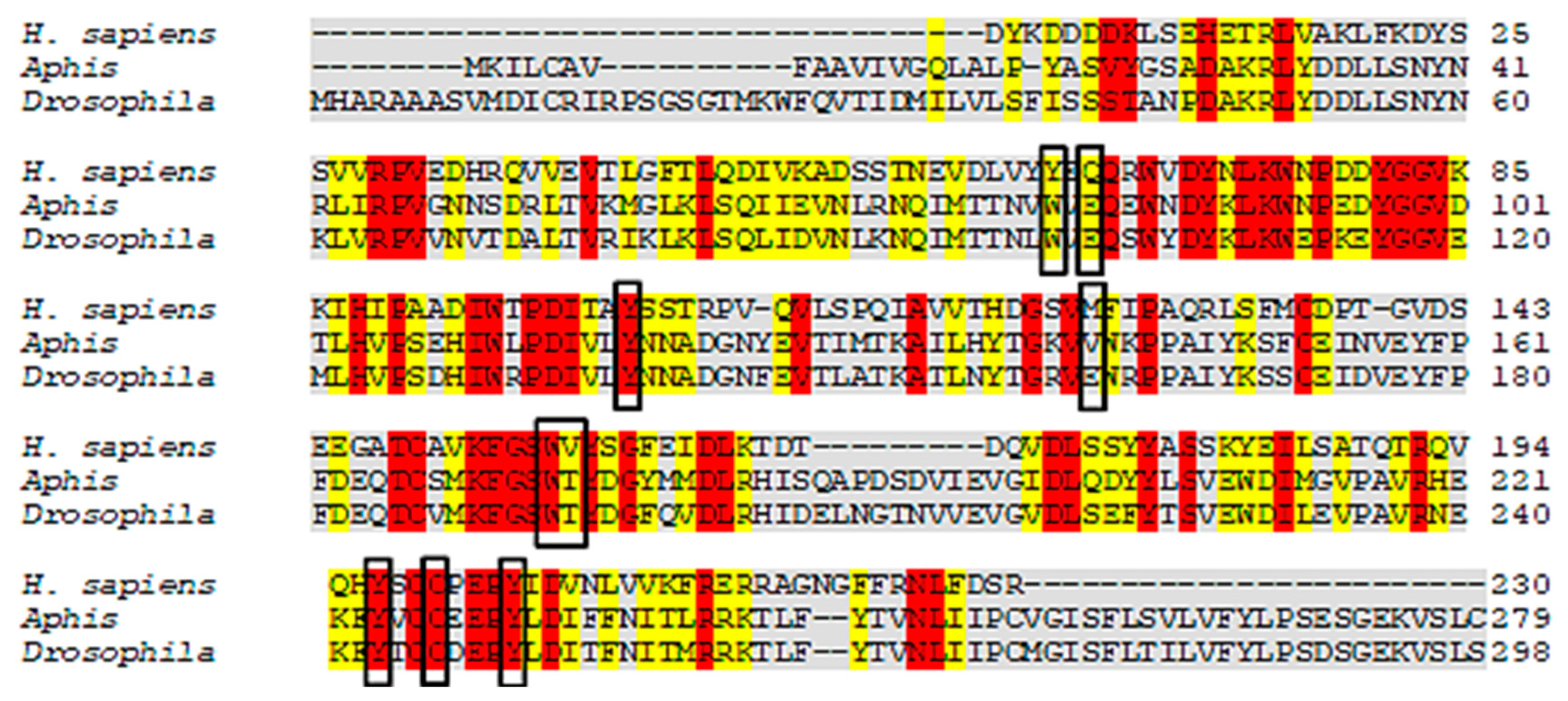Molecules 26 00766 g003