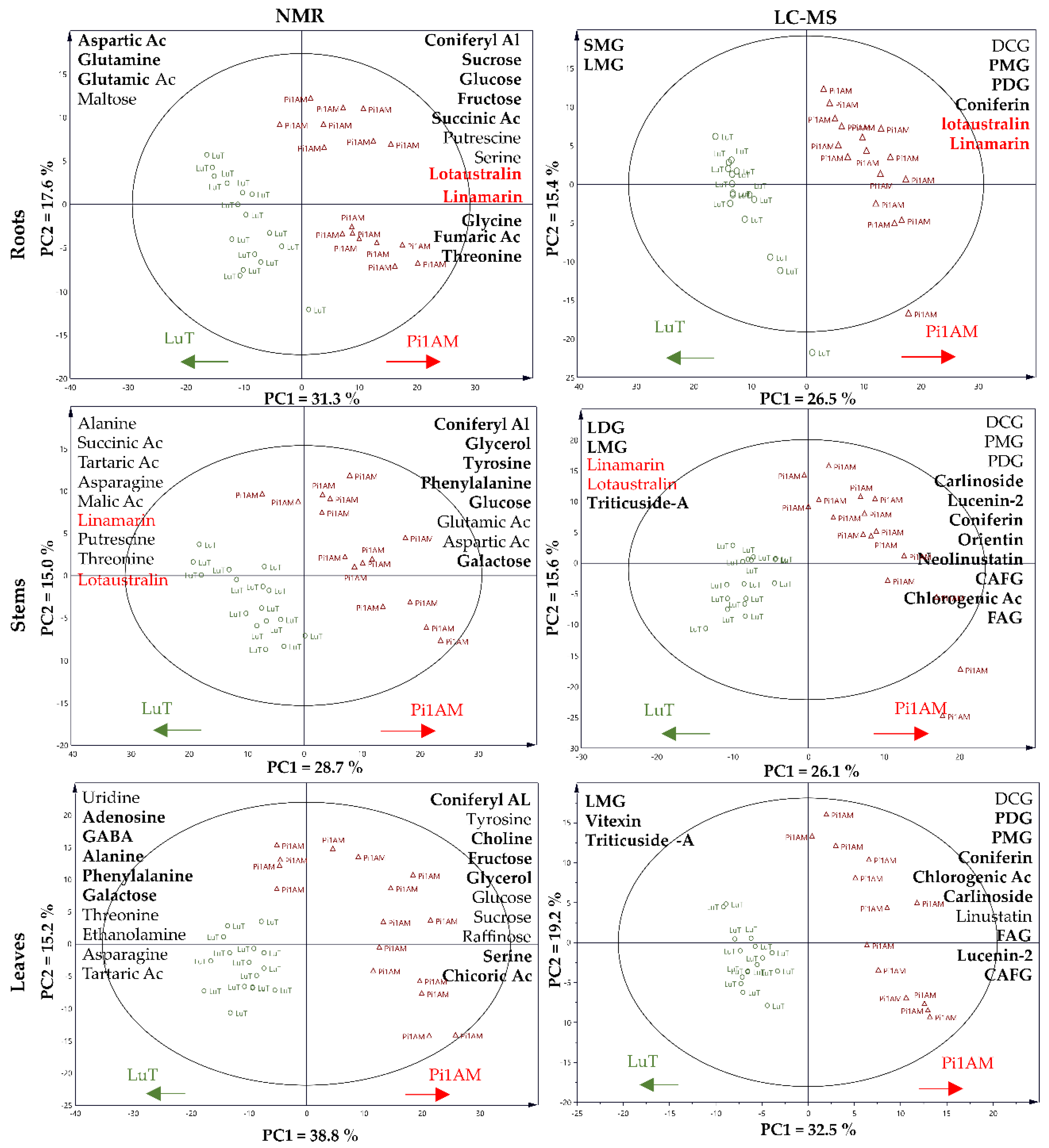 Molecules 26 00767 g002 Molecules 26 00767 g002