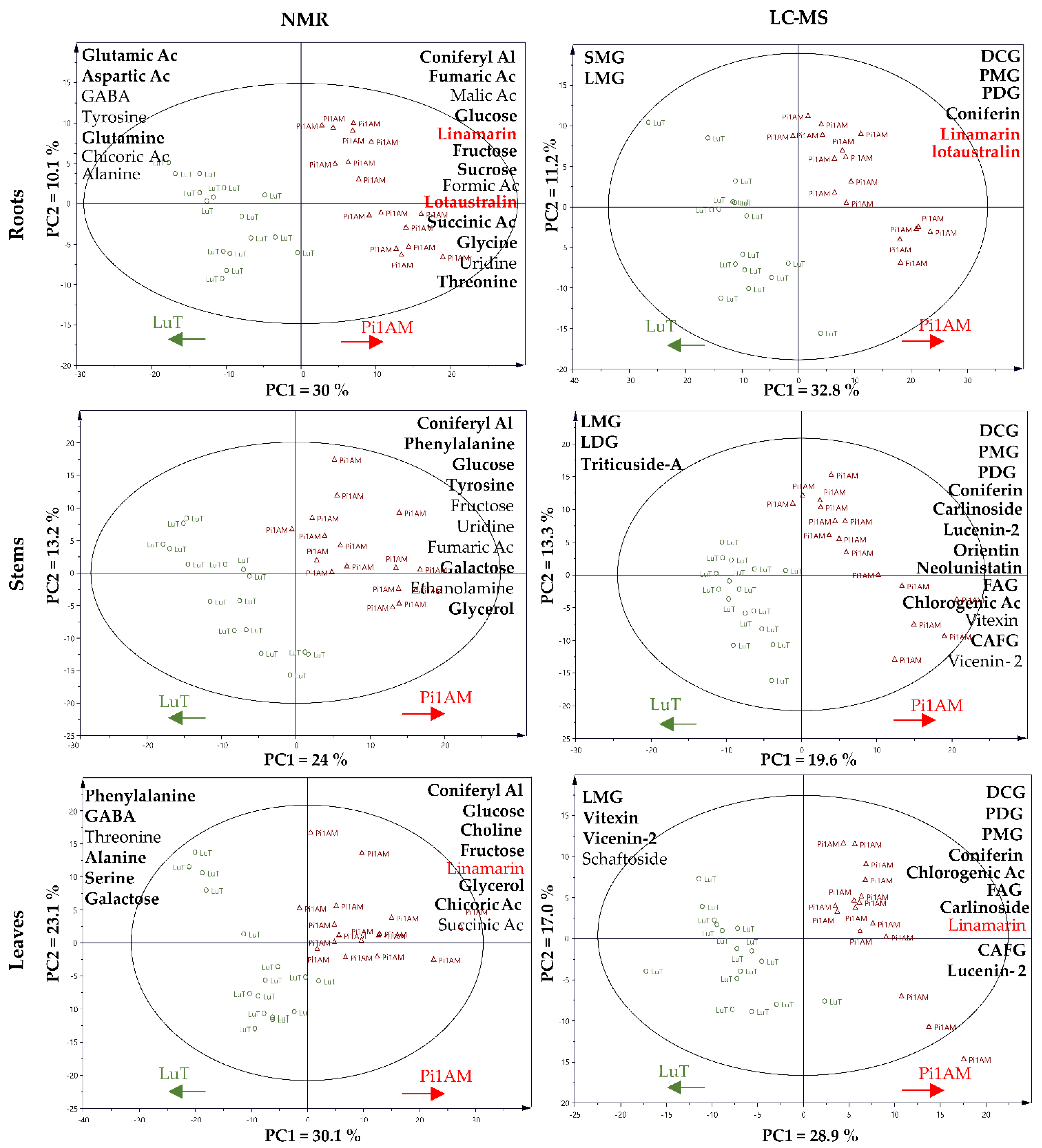 Molecules 26 00767 g007 Molecules 26 00767 g007