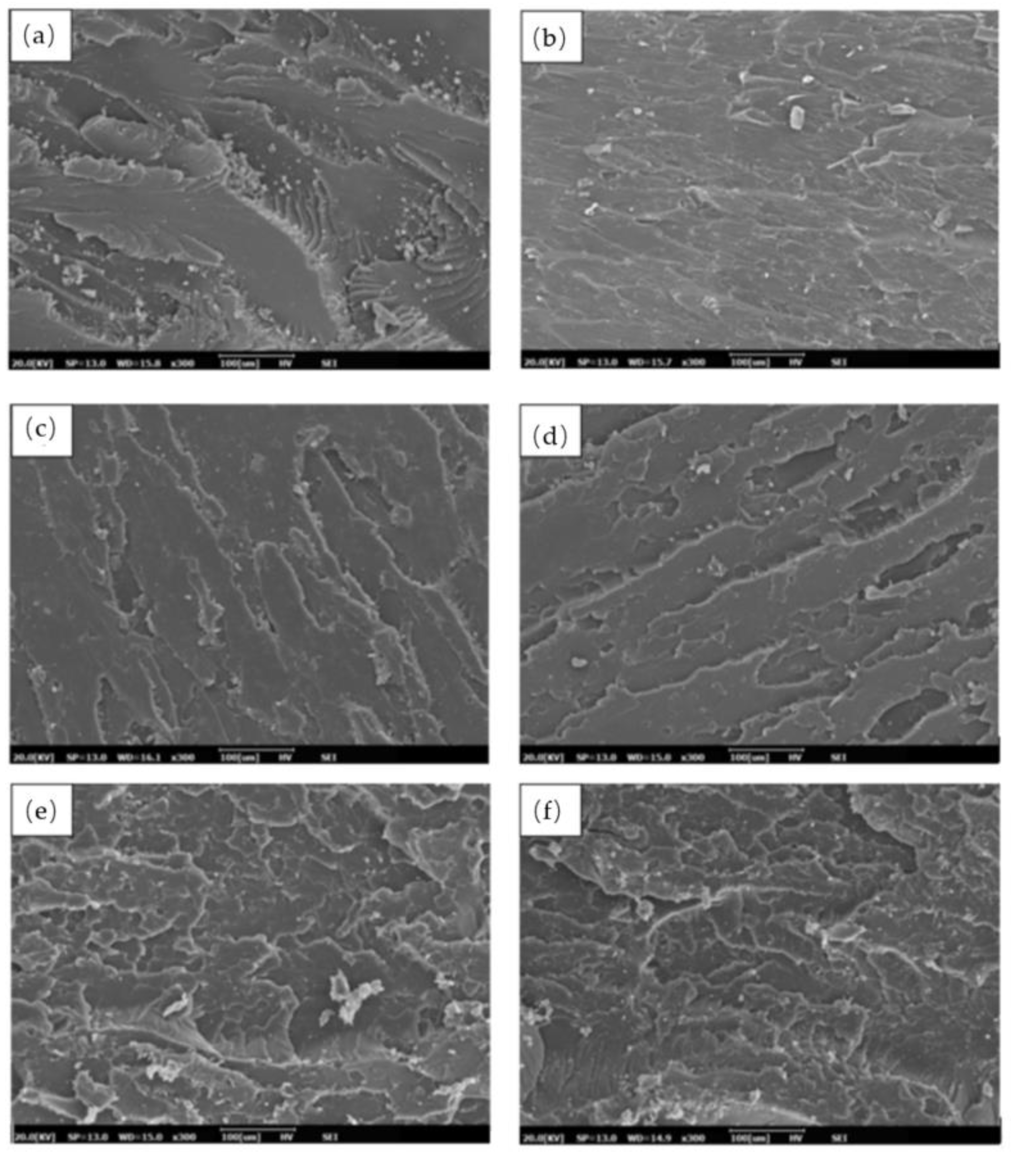 Molecules 26 00773 g004a Molecules 26 00773 g004a
