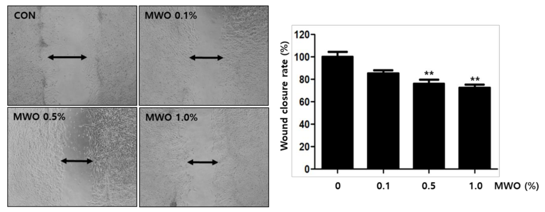 Molecules 26 00779 g003