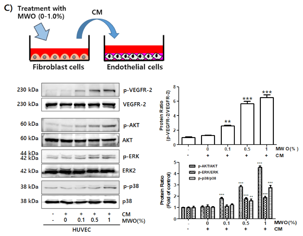 Molecules 26 00779 g004b