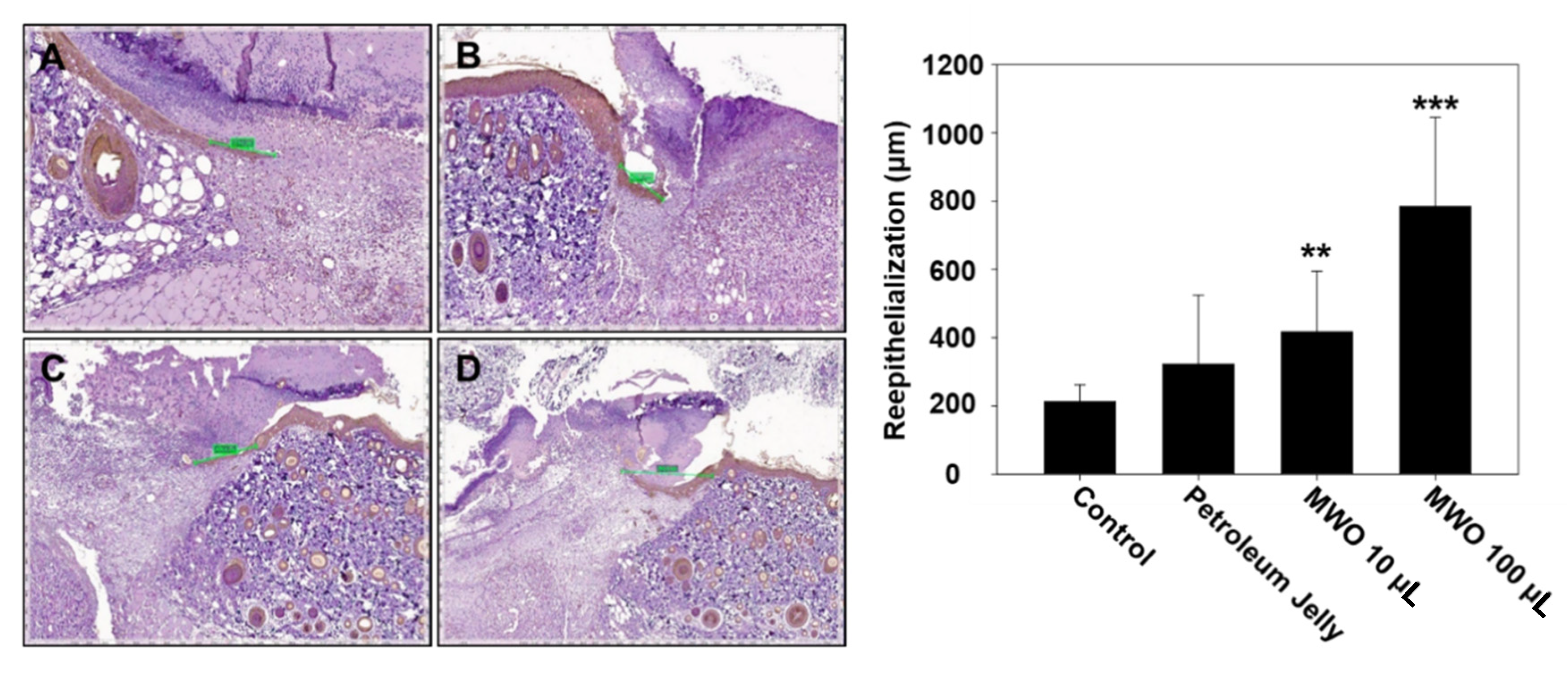 Molecules 26 00779 g007