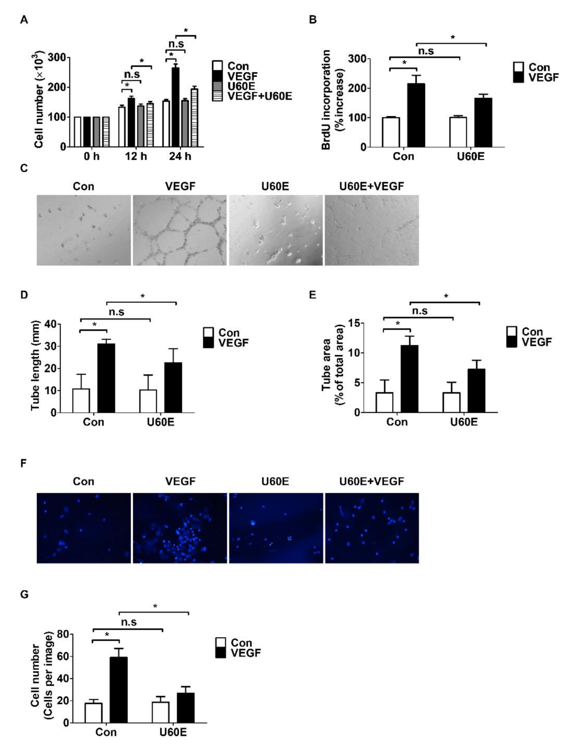 Molecules 26 00781 g002 Molecules 26 00781 g002