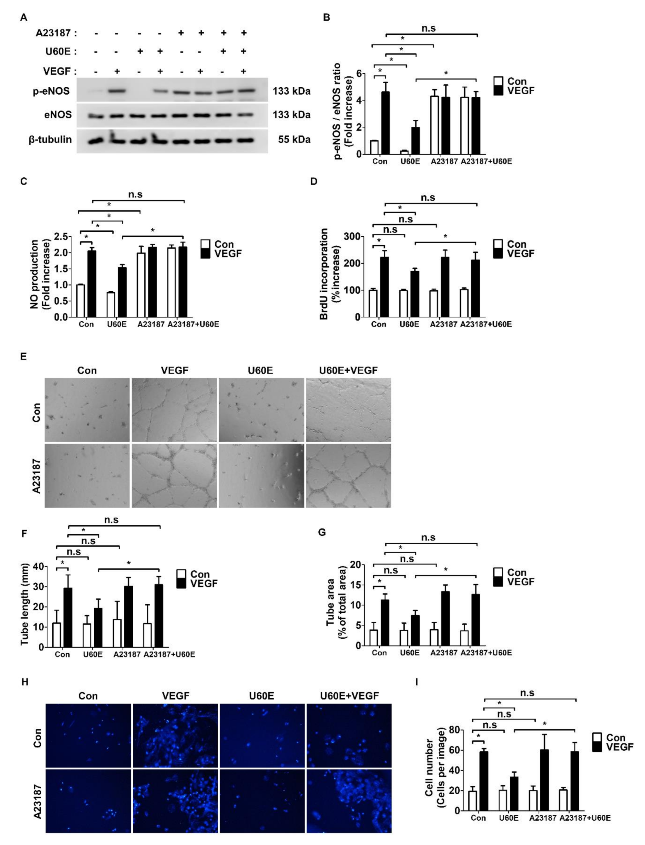 Molecules 26 00781 g003 Molecules 26 00781 g003