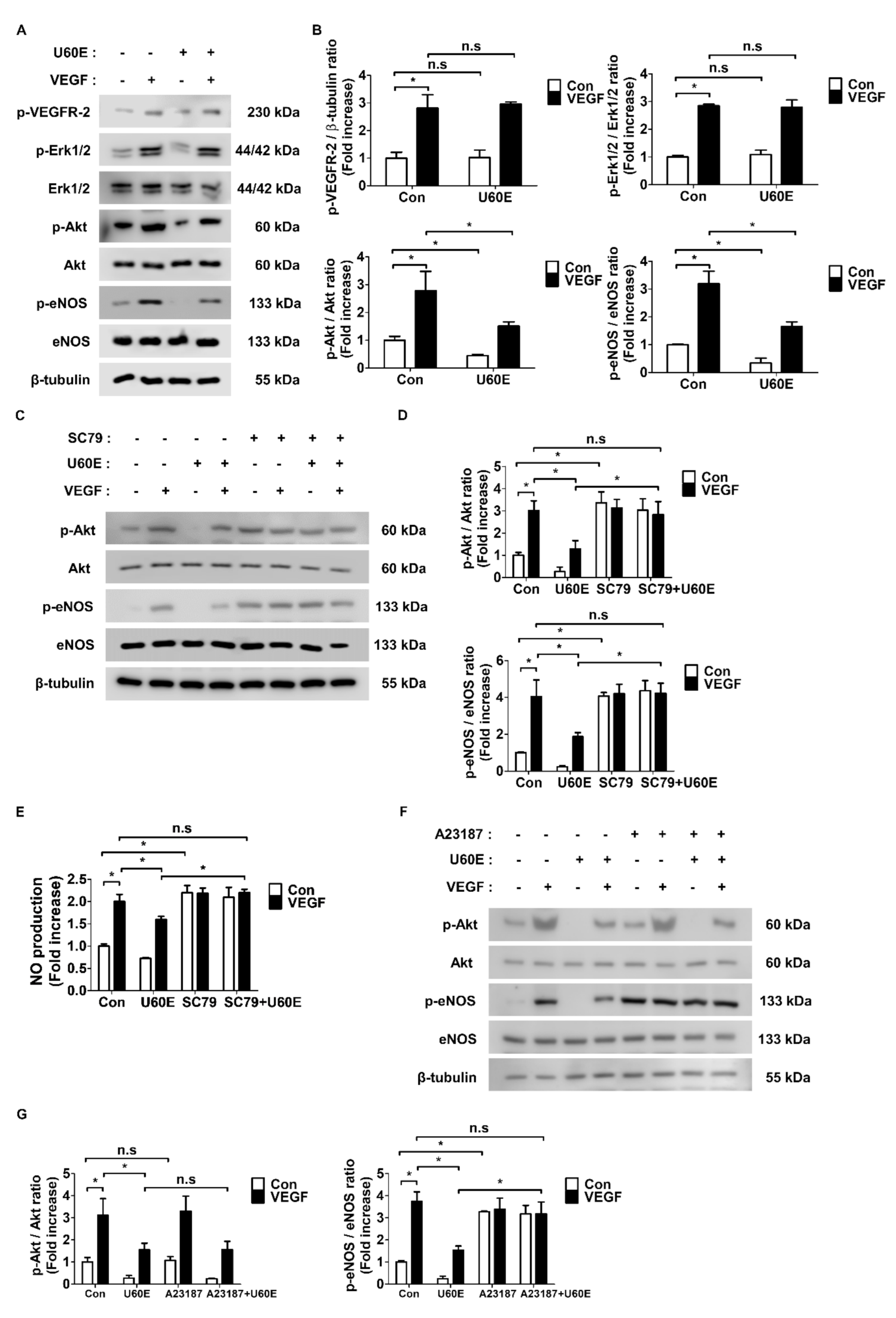 Molecules 26 00781 g004 Molecules 26 00781 g004