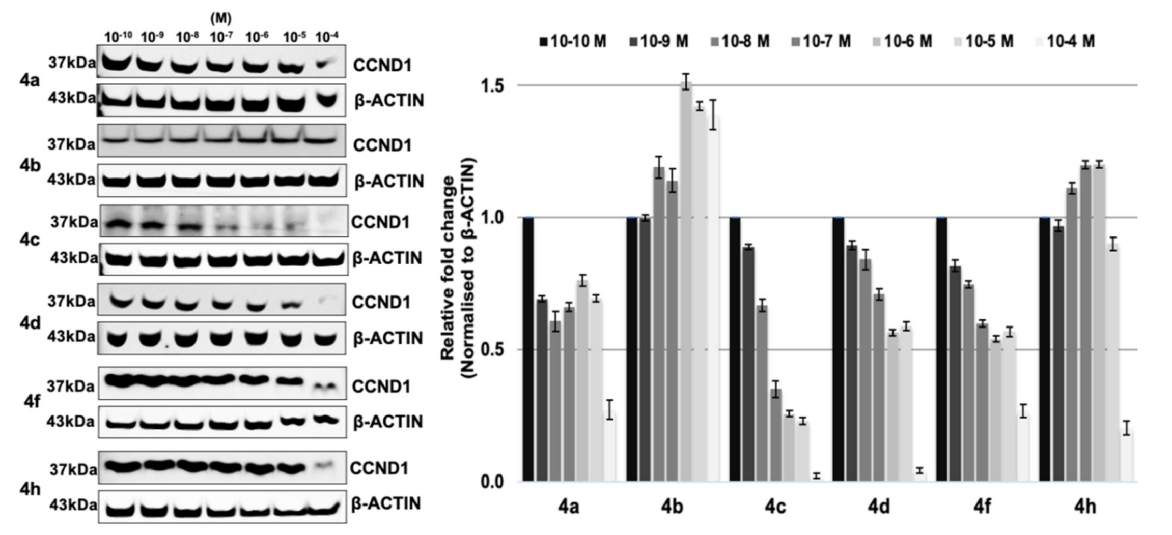 Molecules 26 00783 g004