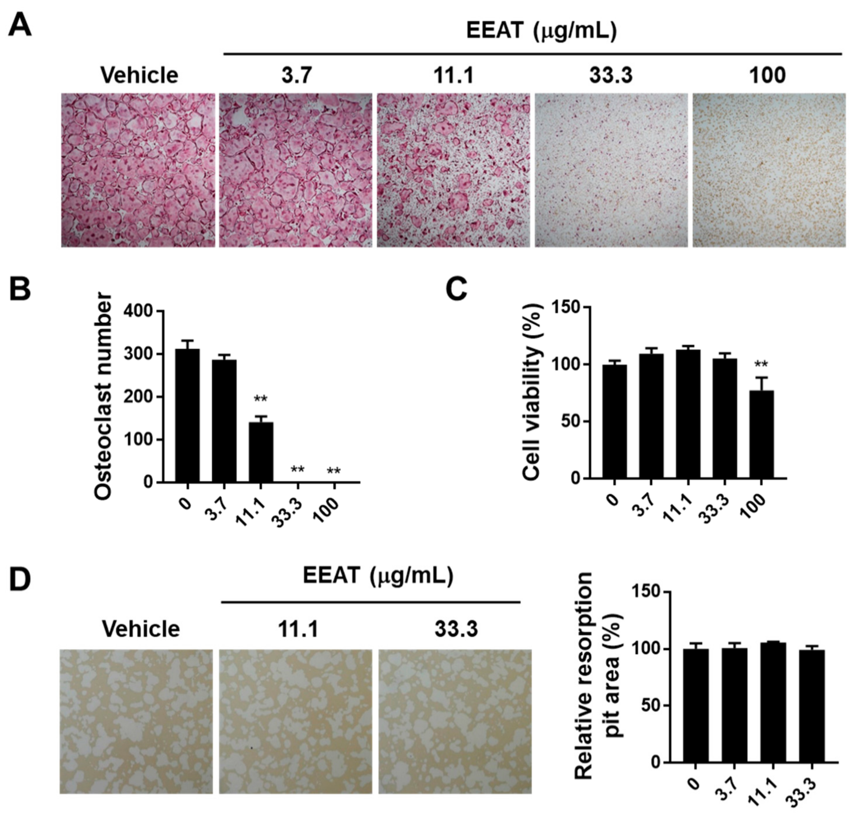 Molecules 26 00784 g001