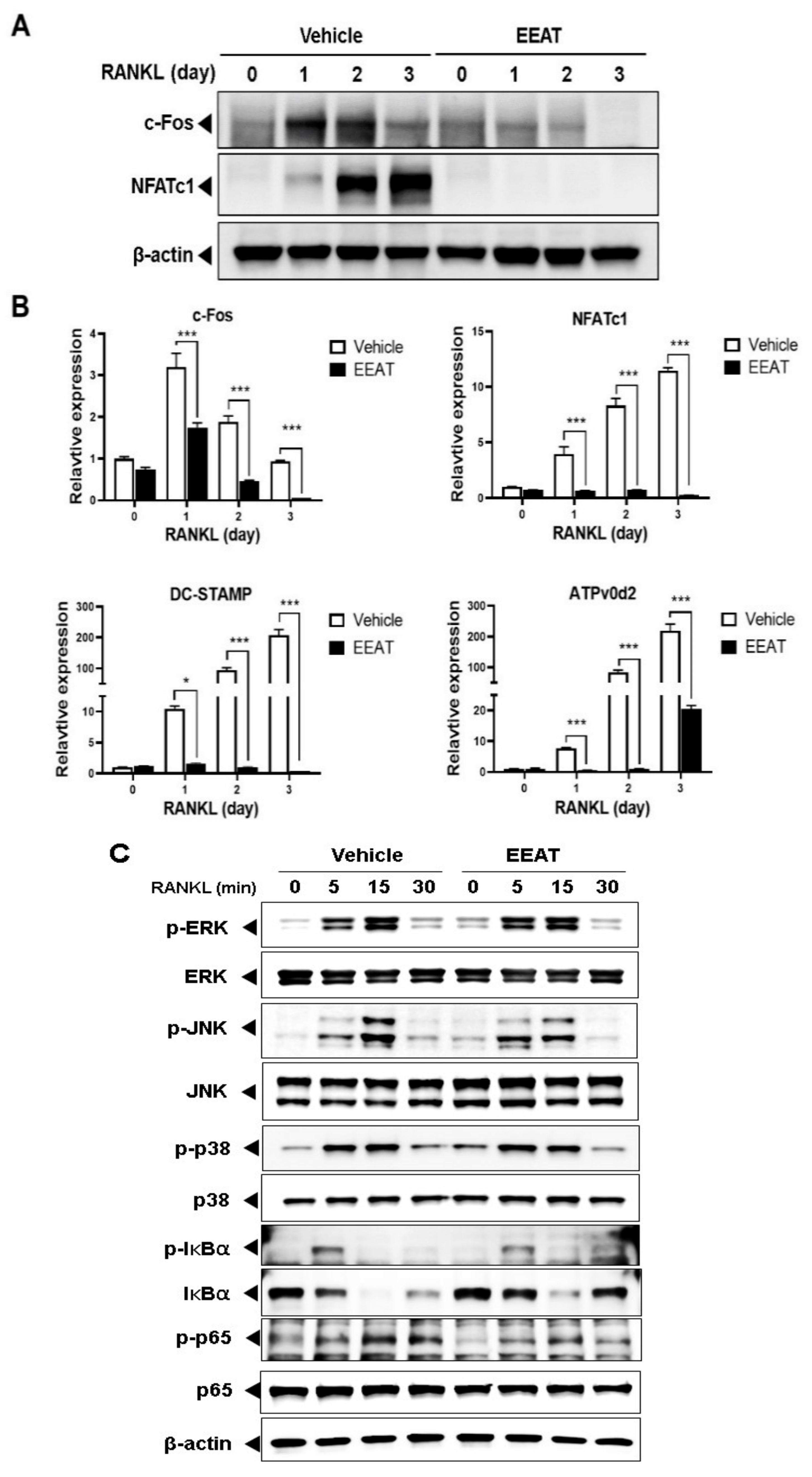 Molecules 26 00784 g002