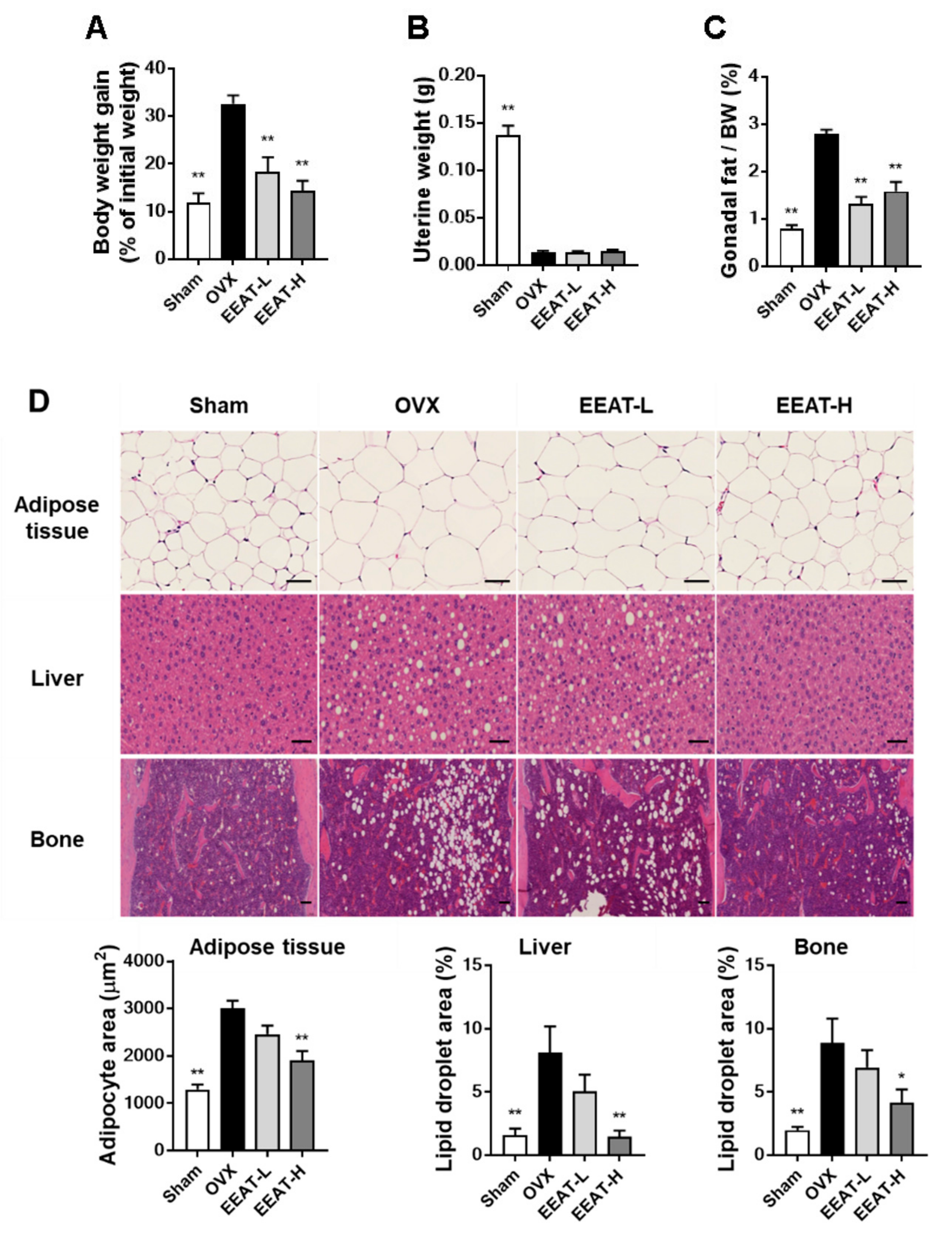 Molecules 26 00784 g004