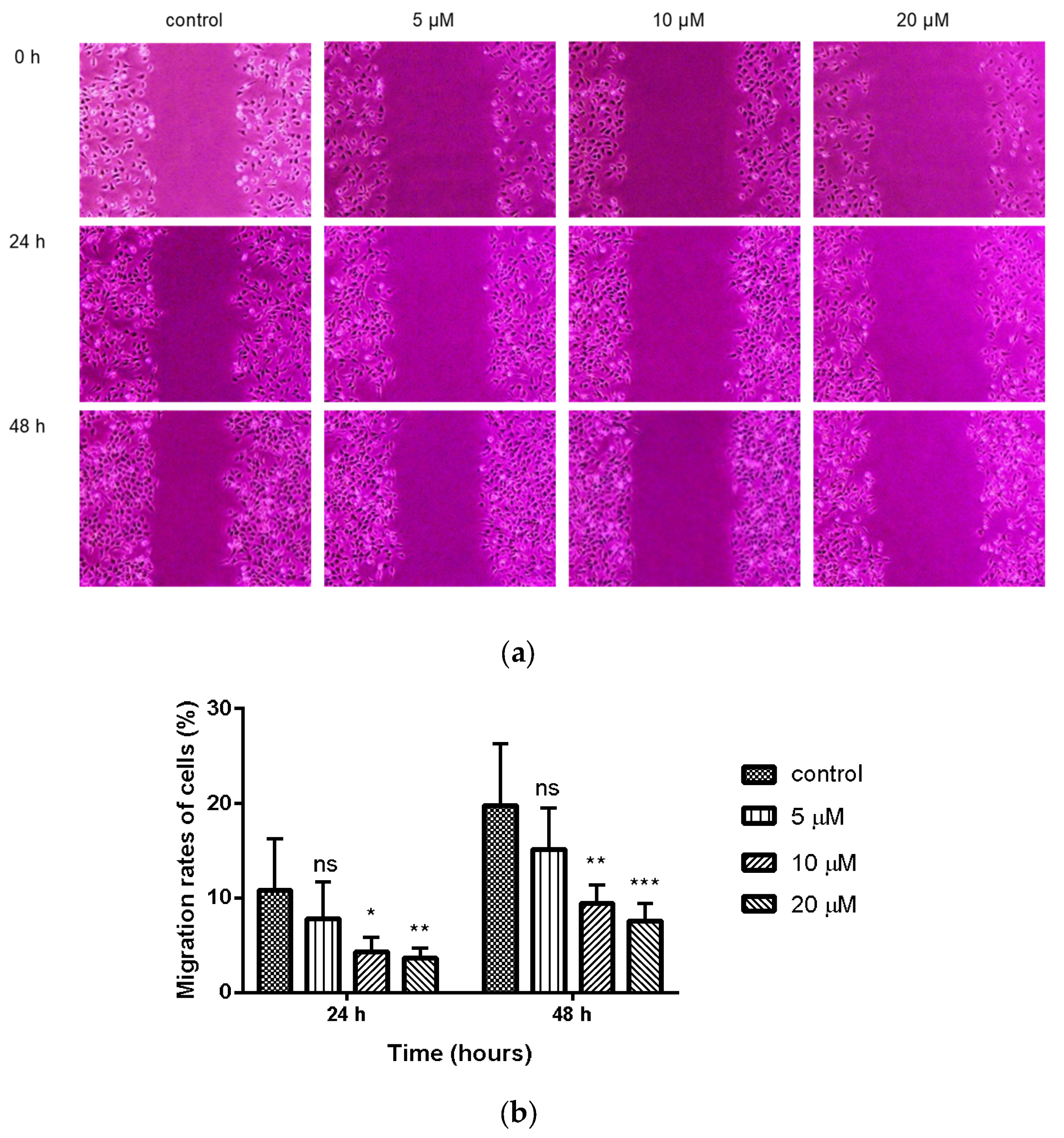 Molecules 26 00786 g002 Molecules 26 00786 g002