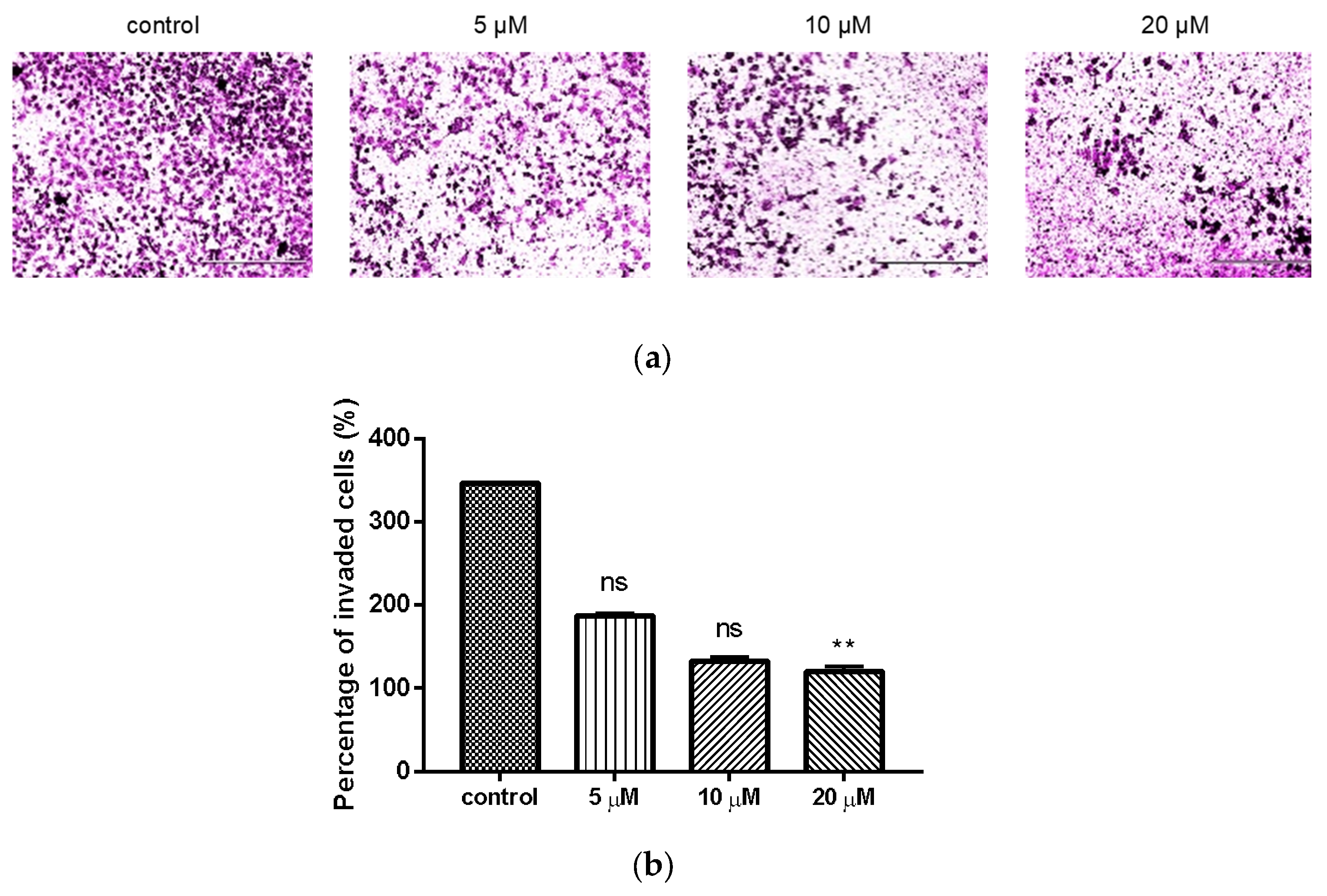 Molecules 26 00786 g003 Molecules 26 00786 g003