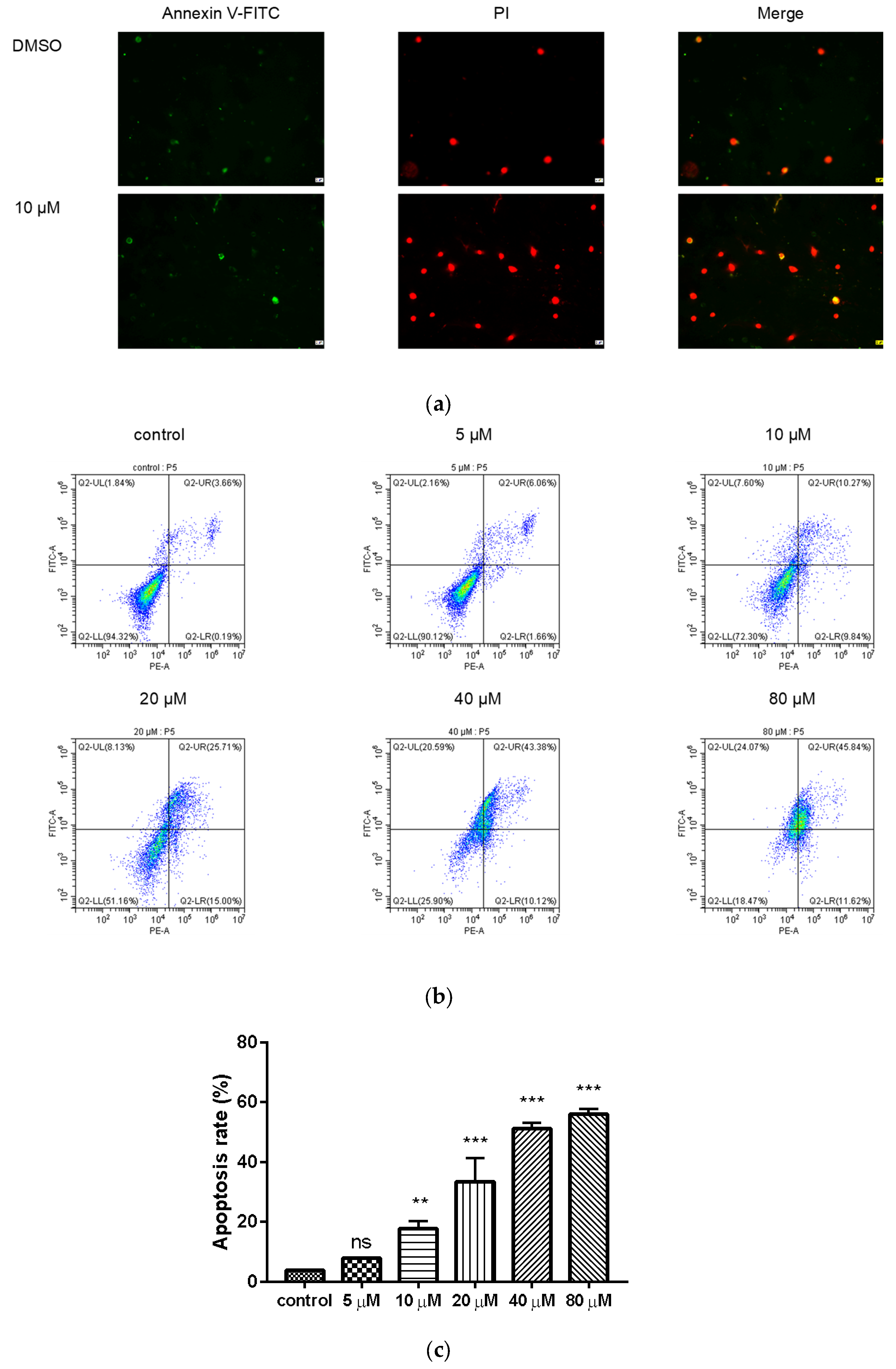 Molecules 26 00786 g004 Molecules 26 00786 g004